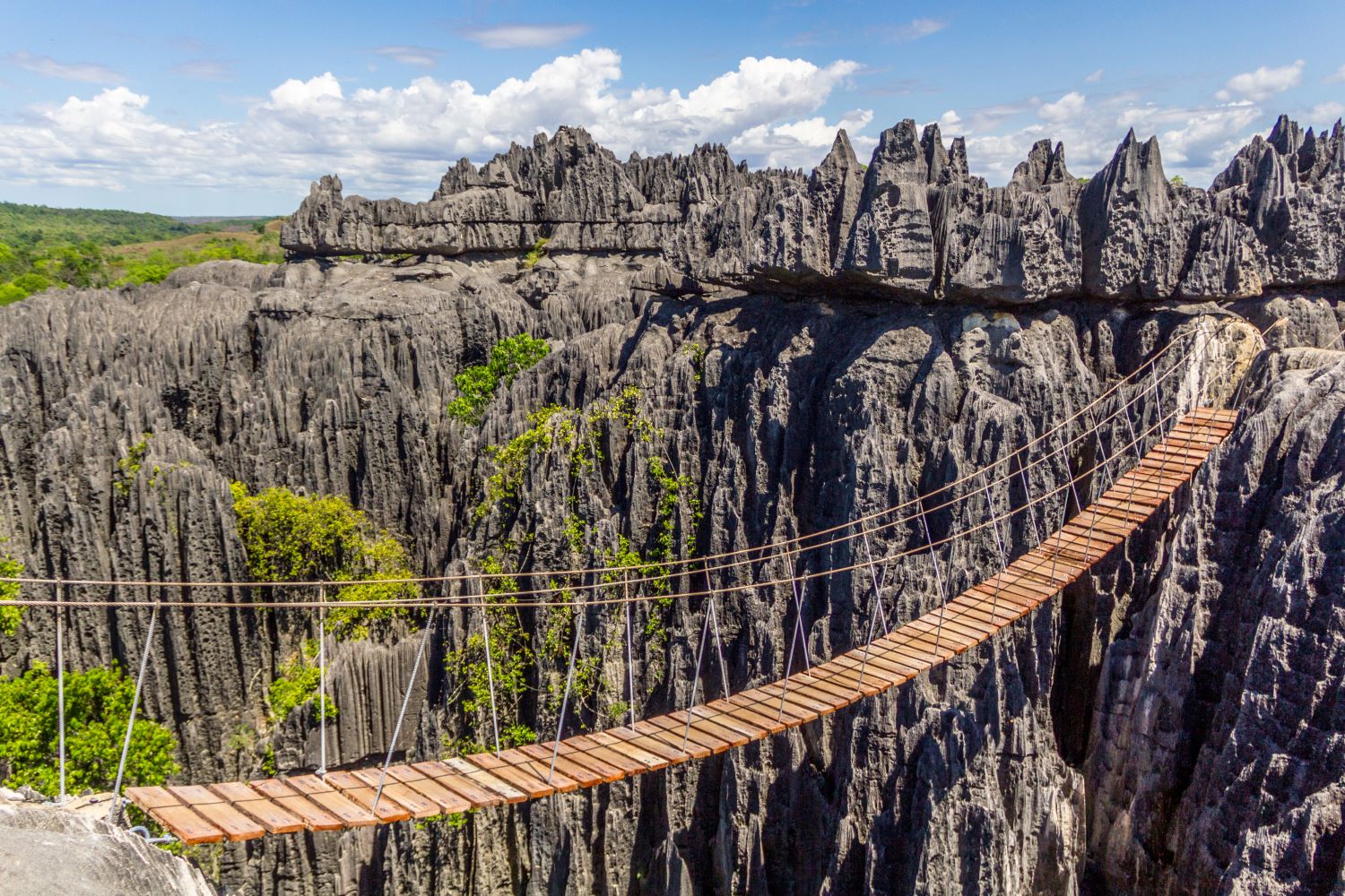 Les Tsingy de Madagascar : un paysage de pierres taillées comme des immenses couteaux !