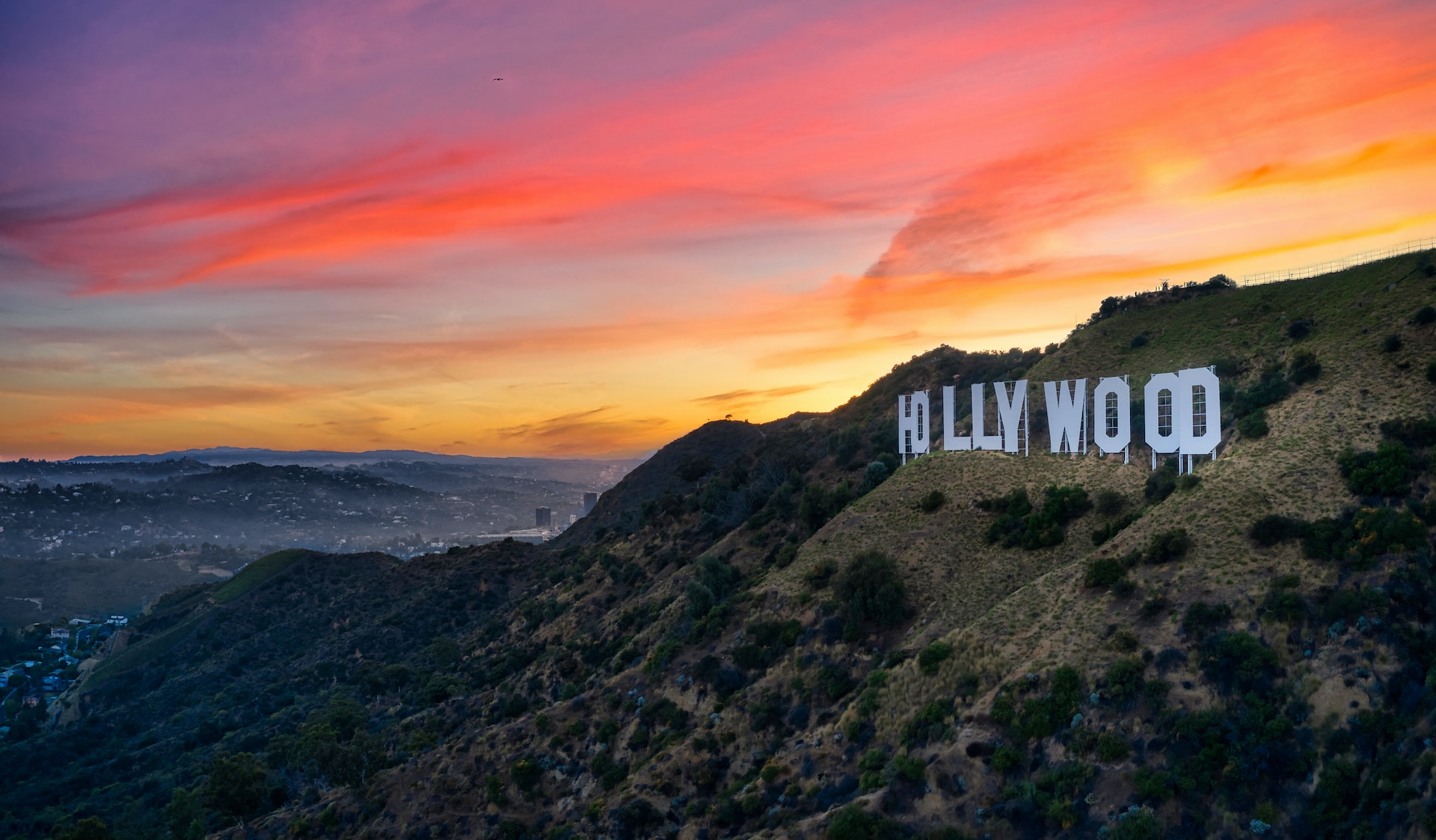 Hollywood: &#8216;s werelds meest beroemde letters bestaan 100 jaar!