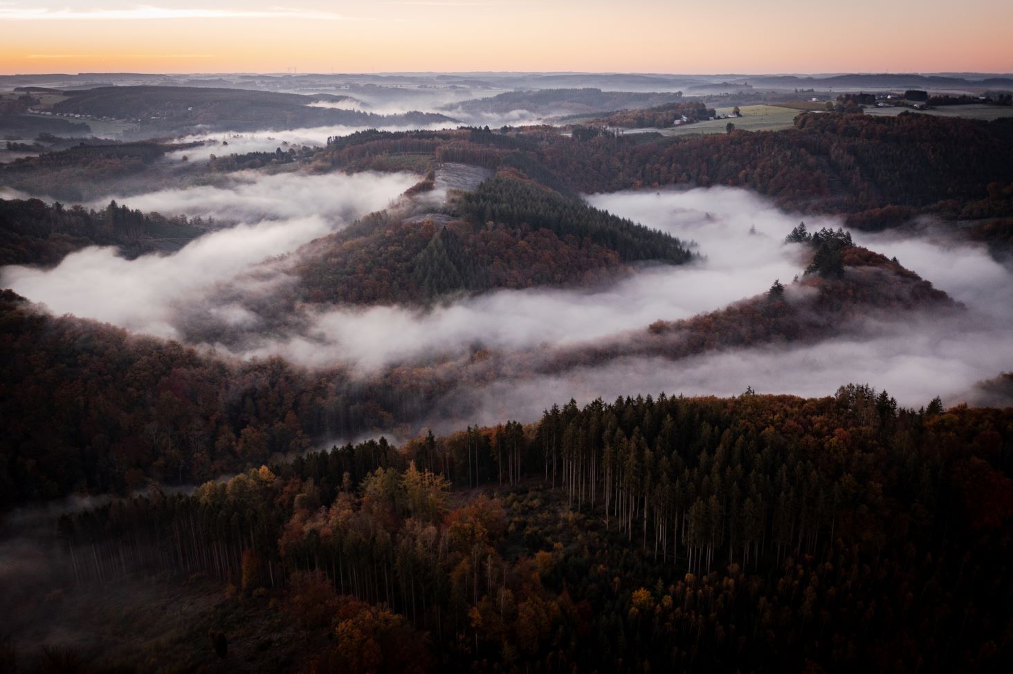 ardenne