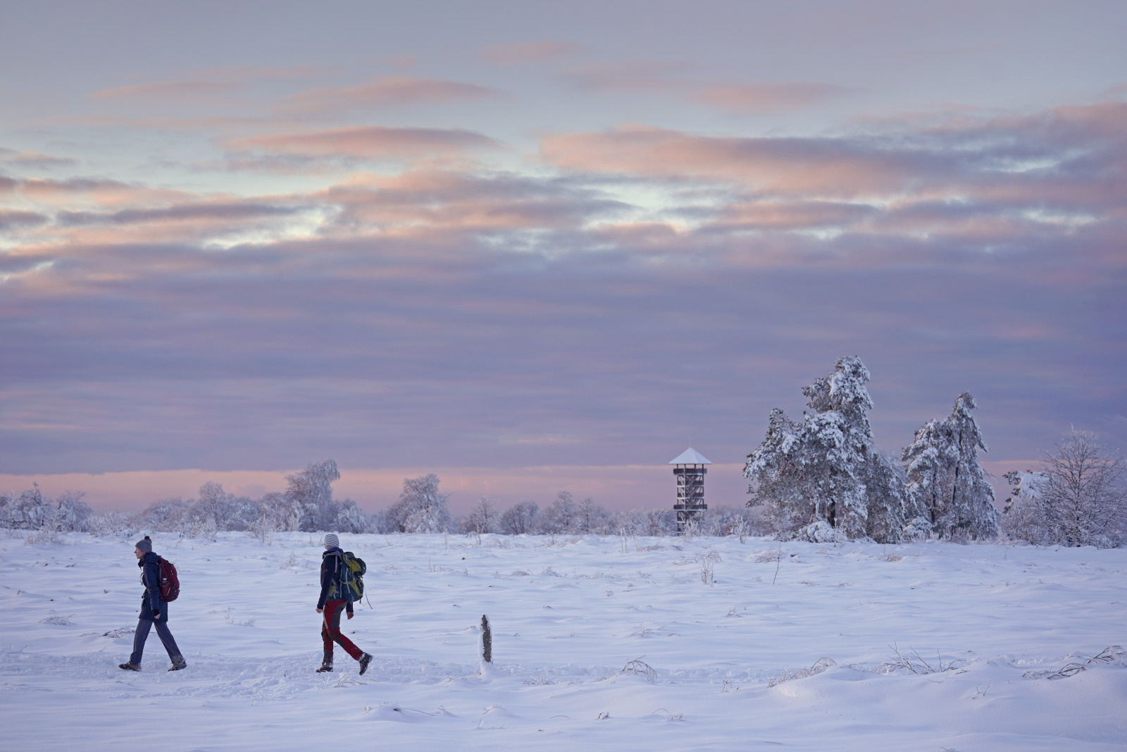 Duizenden mensen in de Hoge Venen afgelopen weekend!