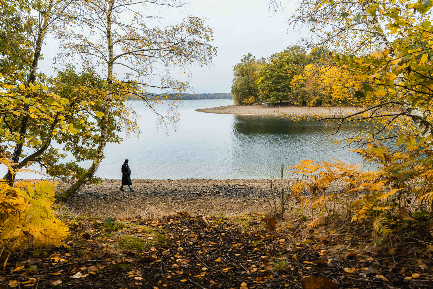 Golden Lakes Village - Autumn by Mill Media