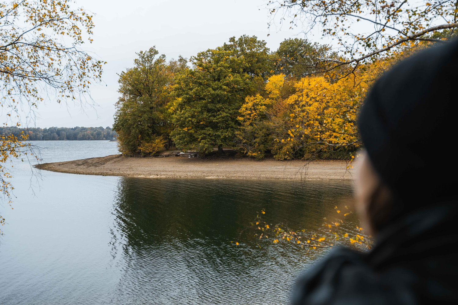 Golden Lakes Village - Autumn by Mill Media