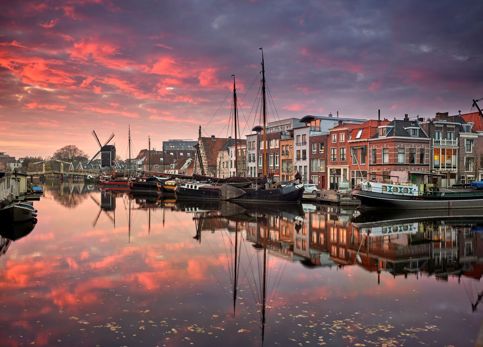 Nederland: in Leiden organiseren ze een wedstrijd met... zaadcellen!