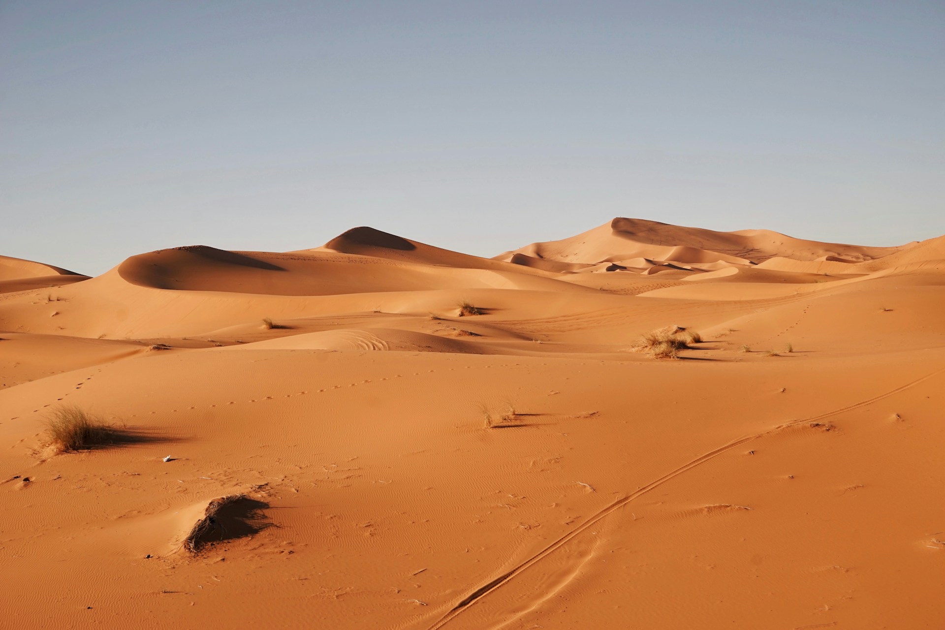 De Sahara breidt uit: een groeiende bedreiging voor Afrika?