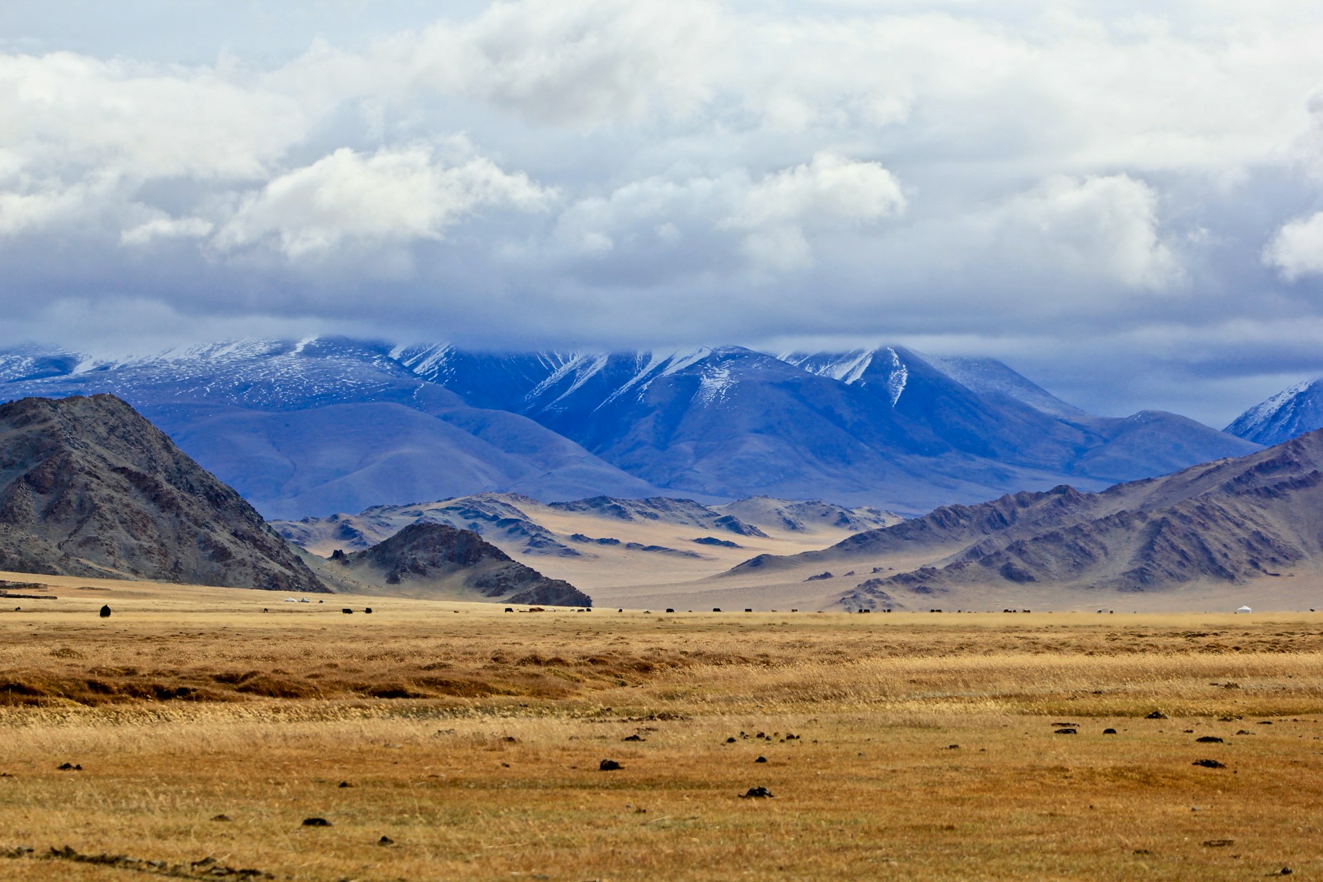 Mongolie : 5 expériences uniques qui vont vous transformer !