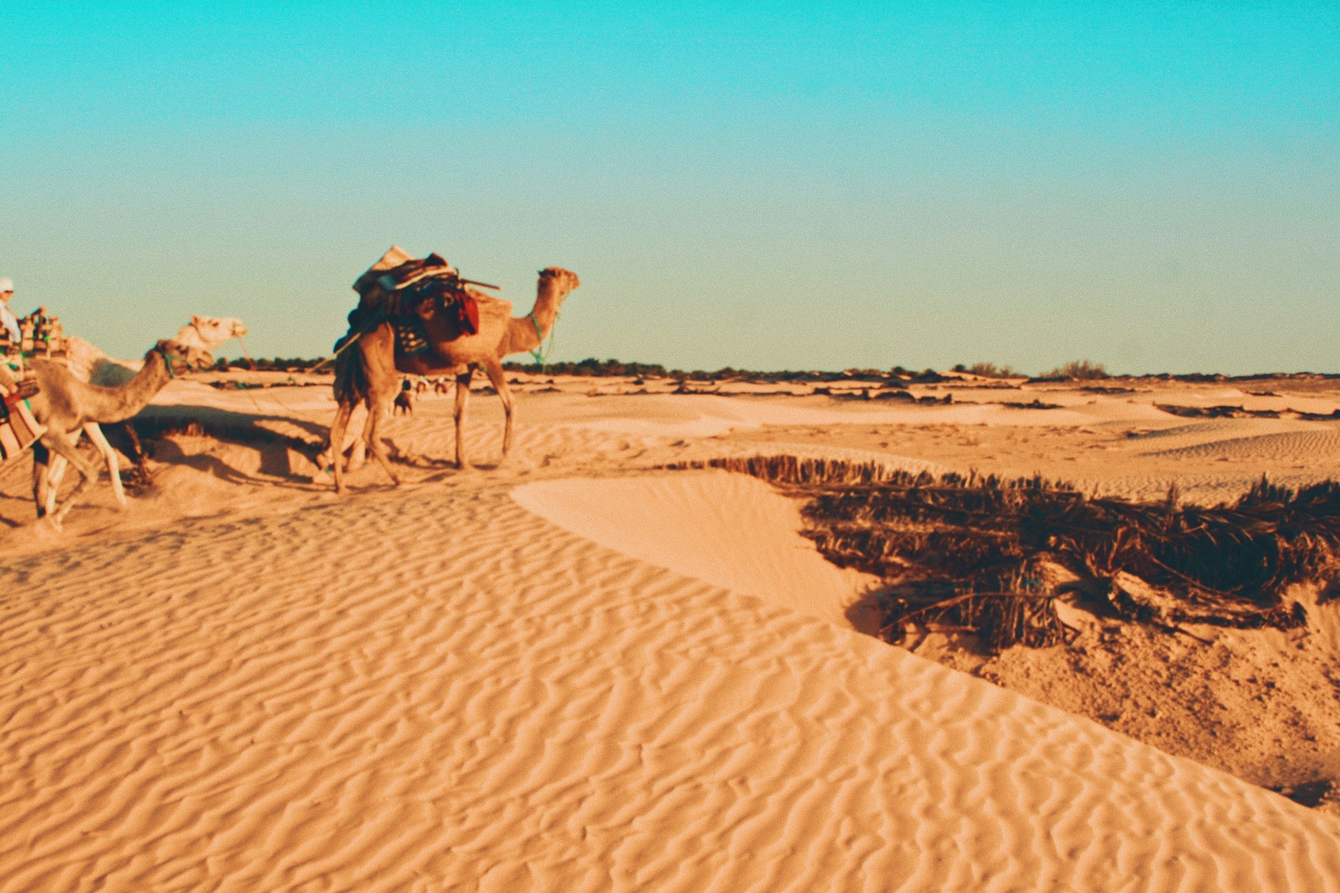 Tunisia