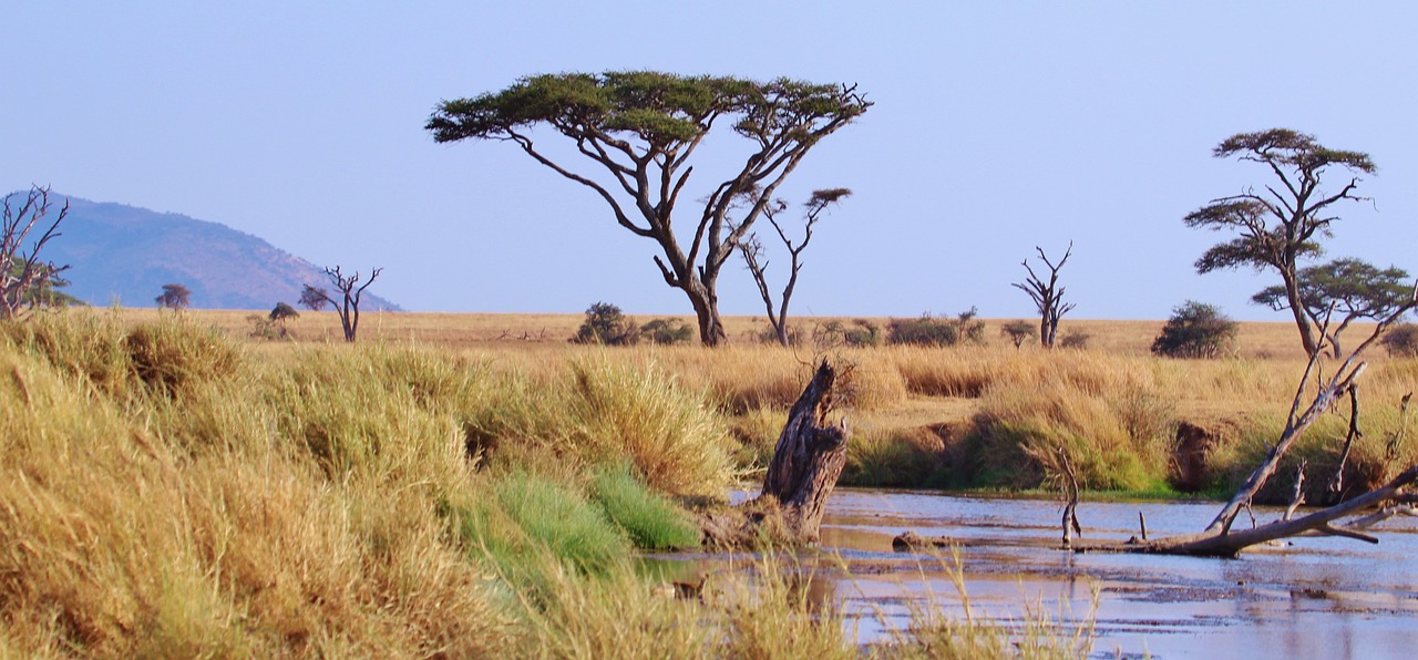 Tanzania: 5 onvergetelijke schatten in het hart van Afrika