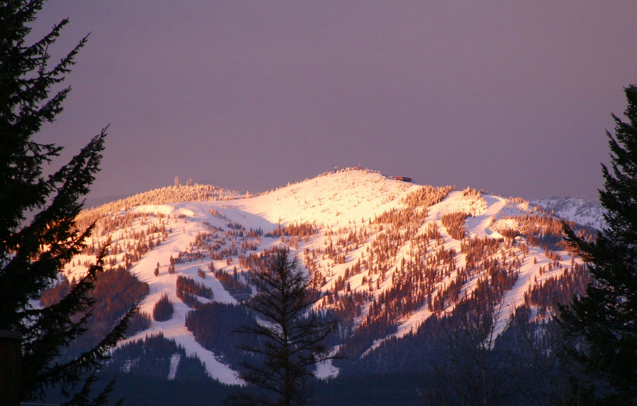 Montana