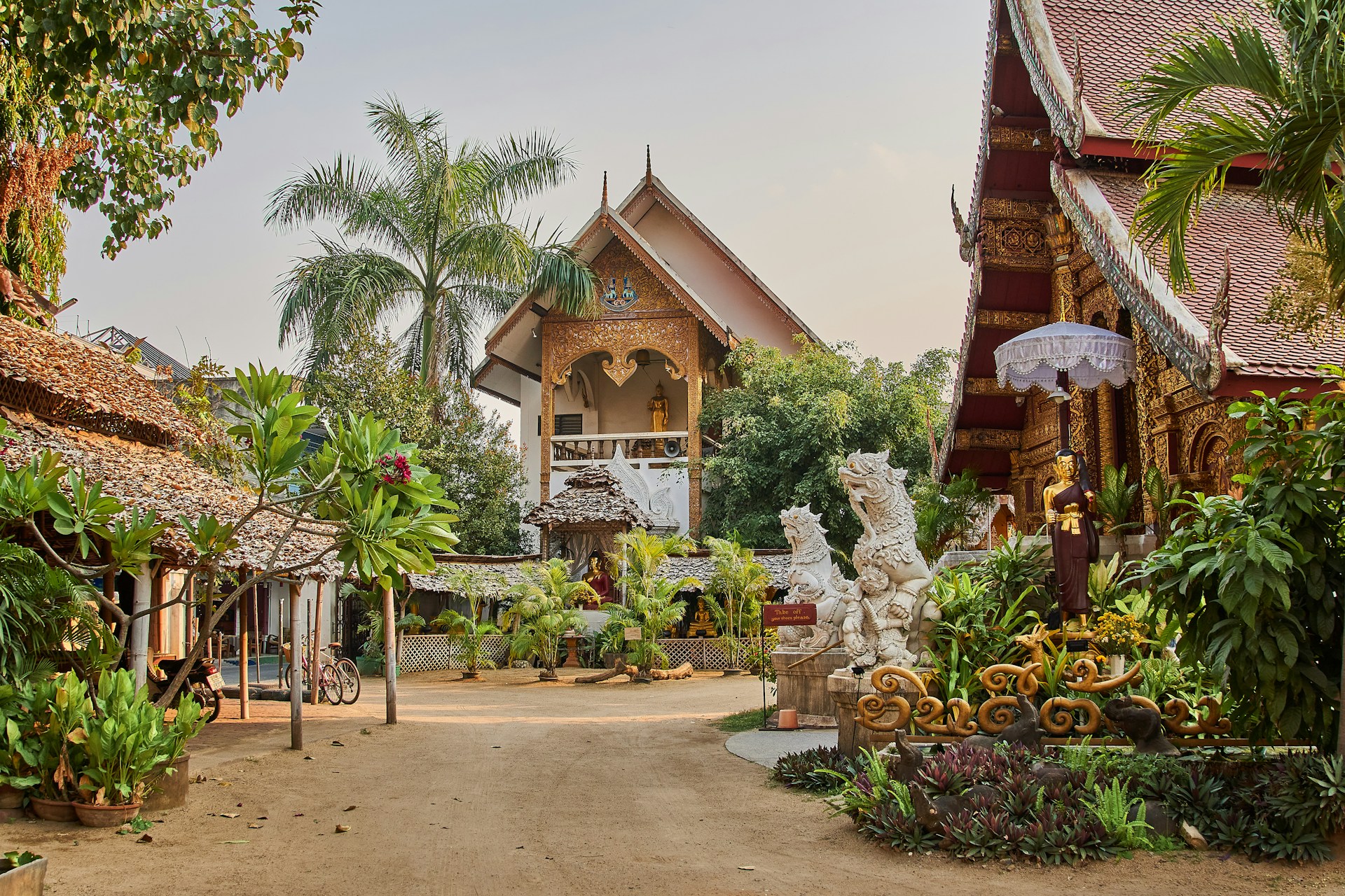 Chiang Mai suffoque : pollution record dans la “Rose du Nord”