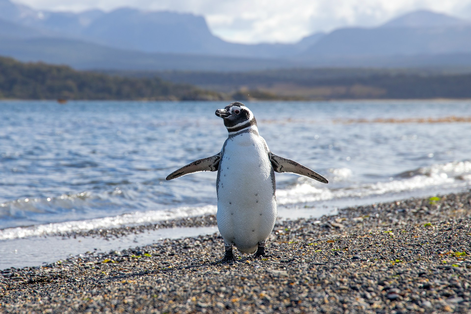 tierra del fuego