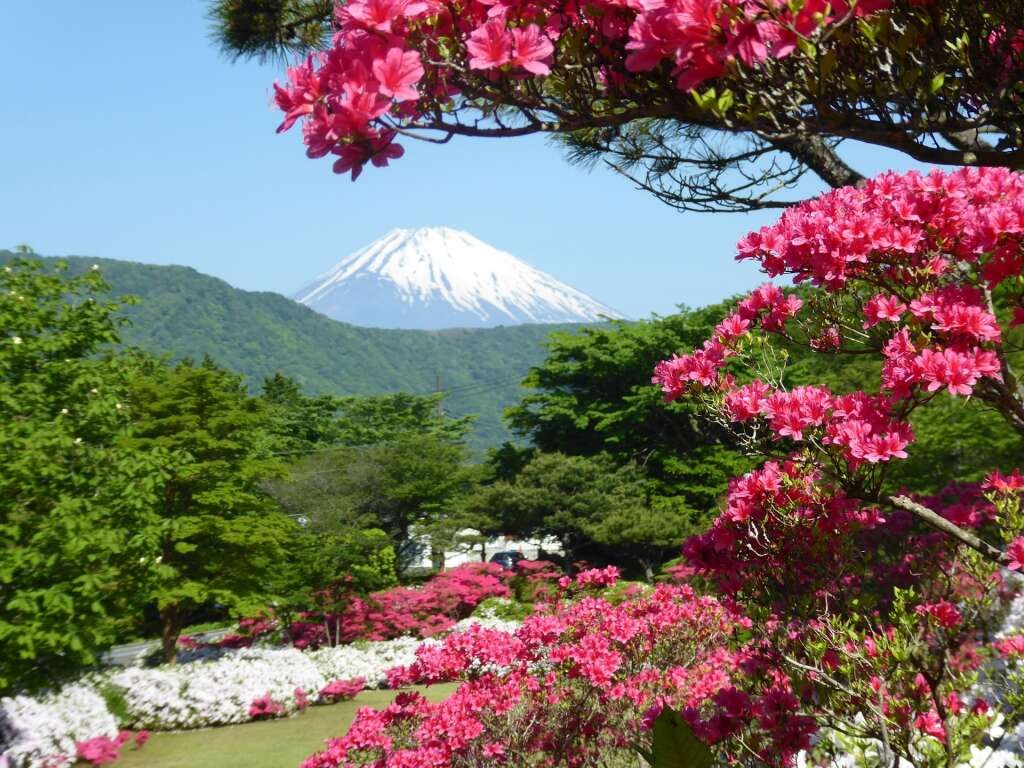 Mount Fuji: nieuwe maatregel tegen massatoerisme