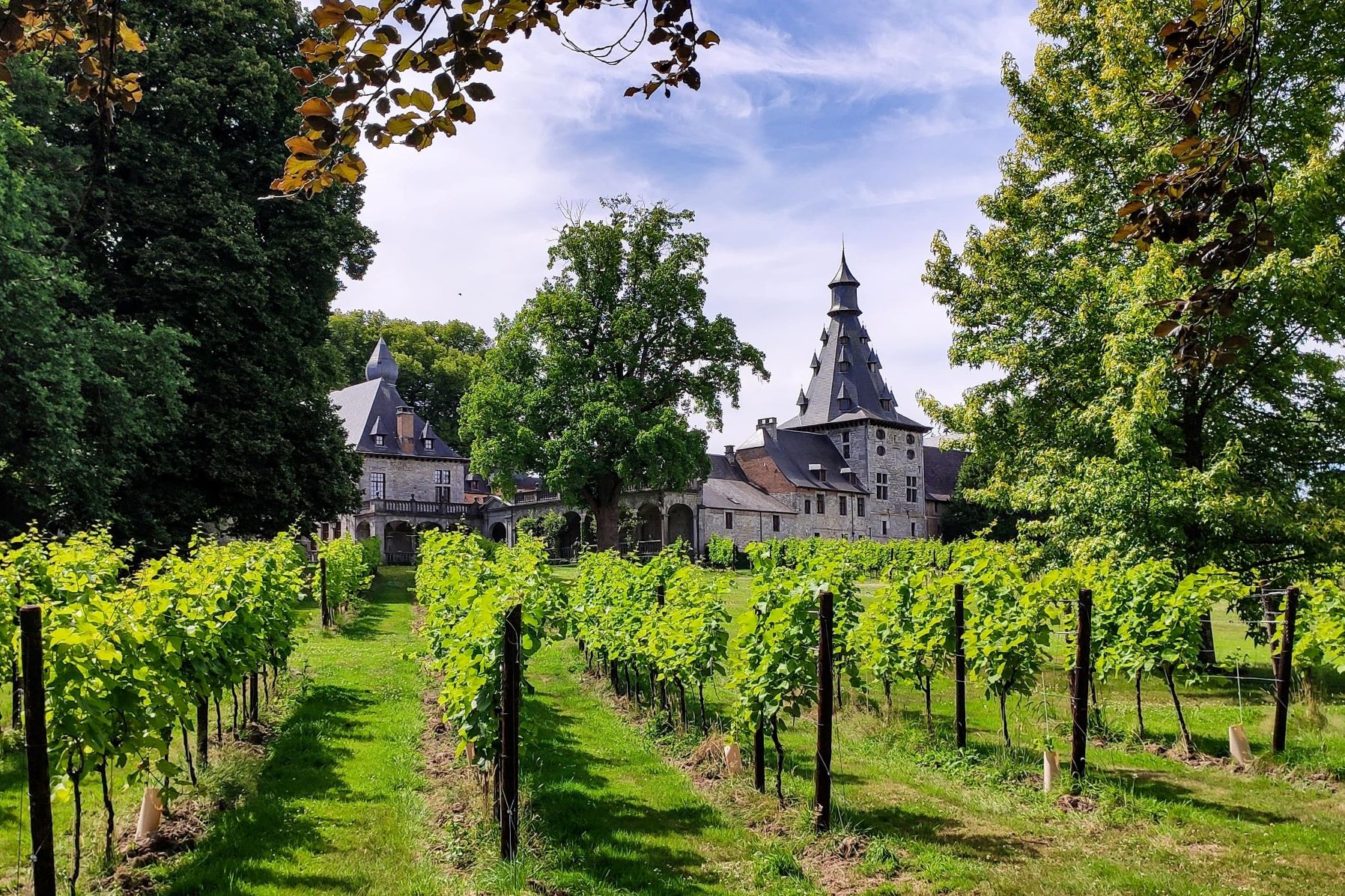 Wijngaarden en kastelen in de regio Namen