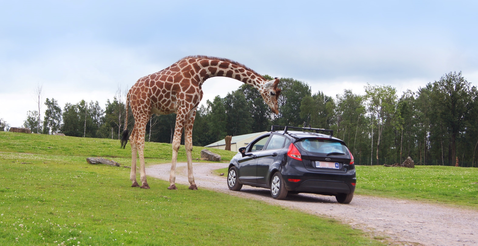 Monde Sauvage Safari Parc