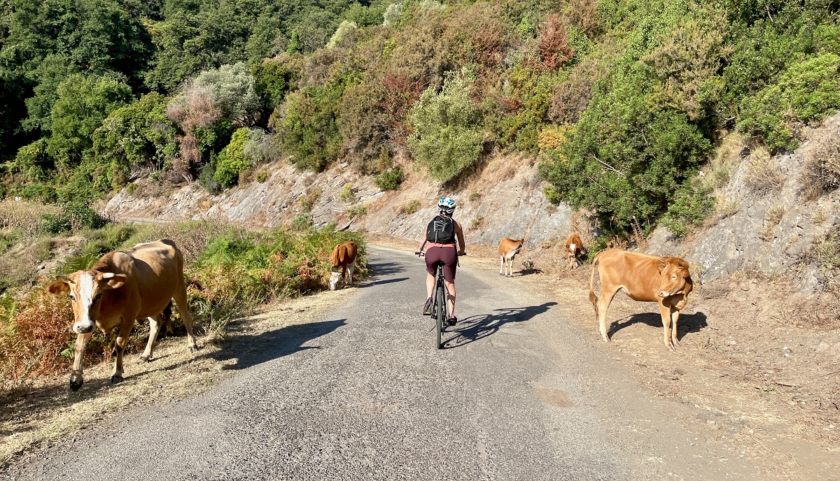 GT20 : La Corse en vélo dans un décor naturel somptueux