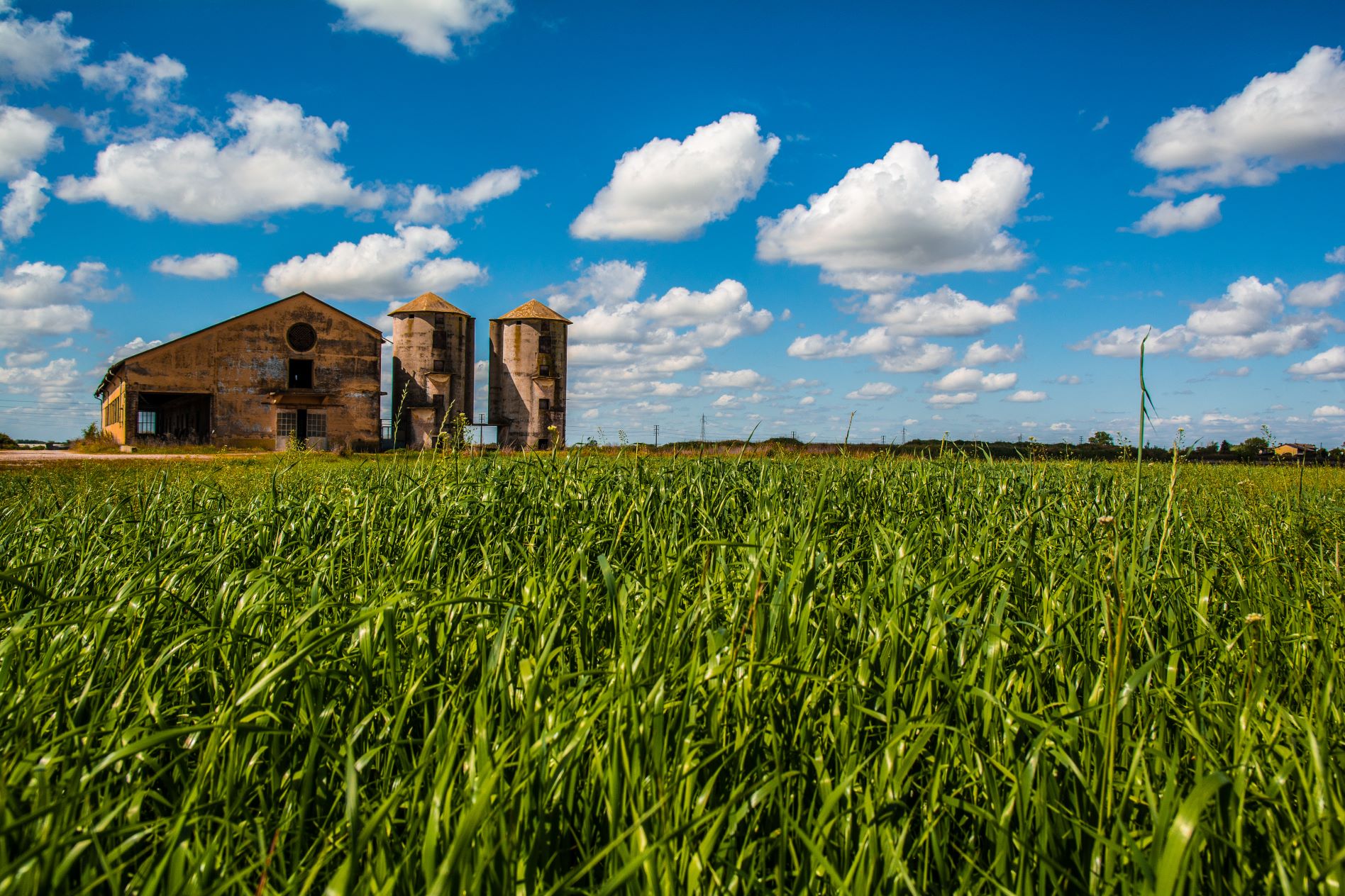 Een dag, een plek: Guidizzolo, 12 mei 1957, de tragedie die de autosportwereld veranderde
