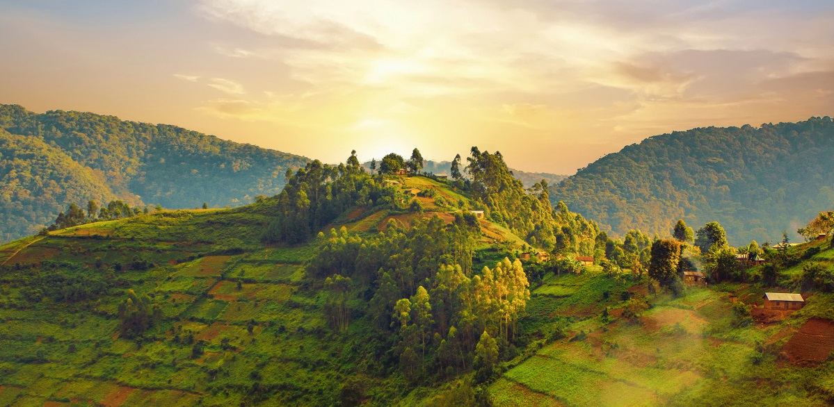 Rwanda: groene heuvels en verborgen schatten voor bevoorrechte bezoekers 