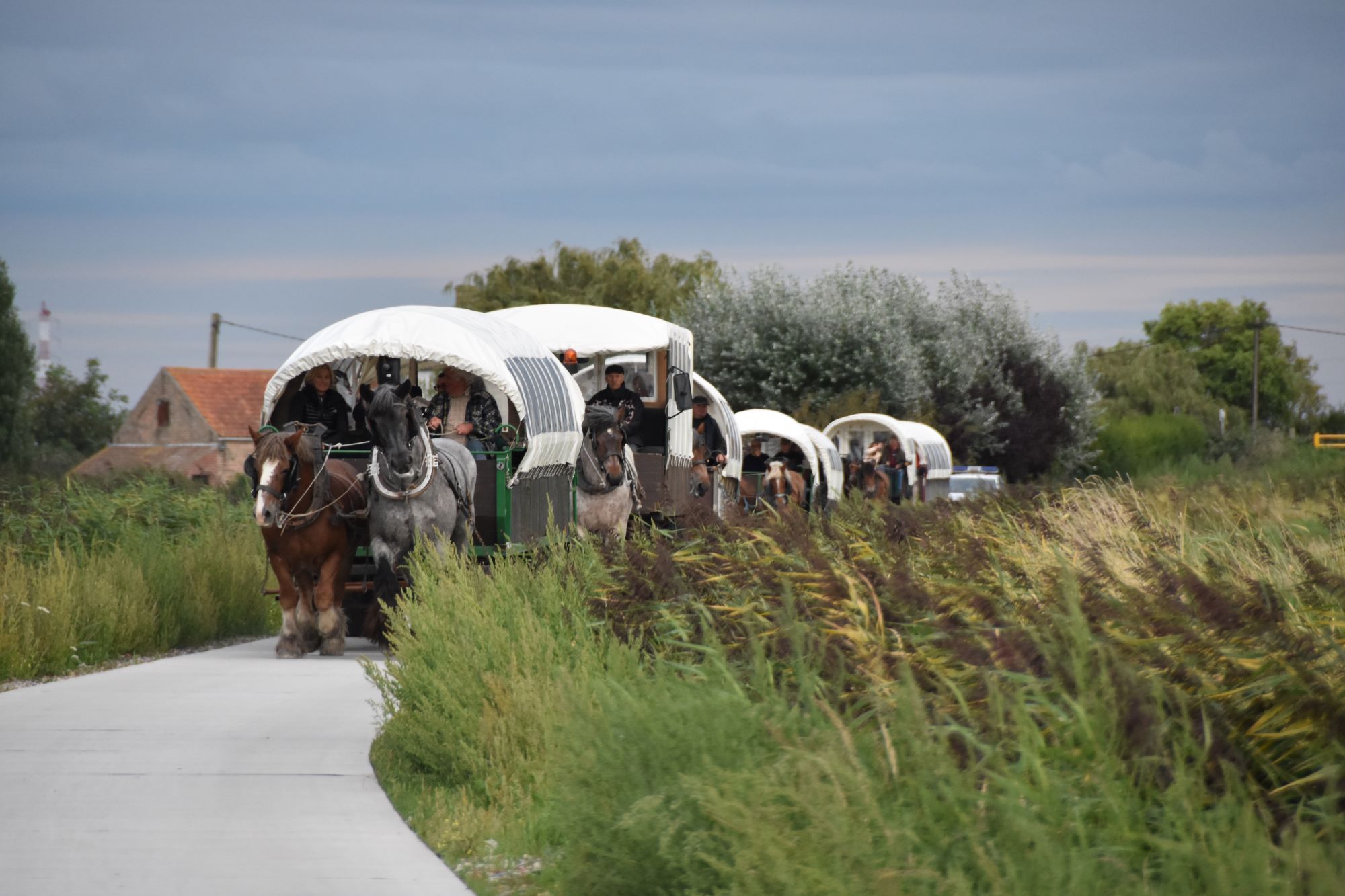 Sofhie Legein - commune de Koksijde-Oostduinkerke
