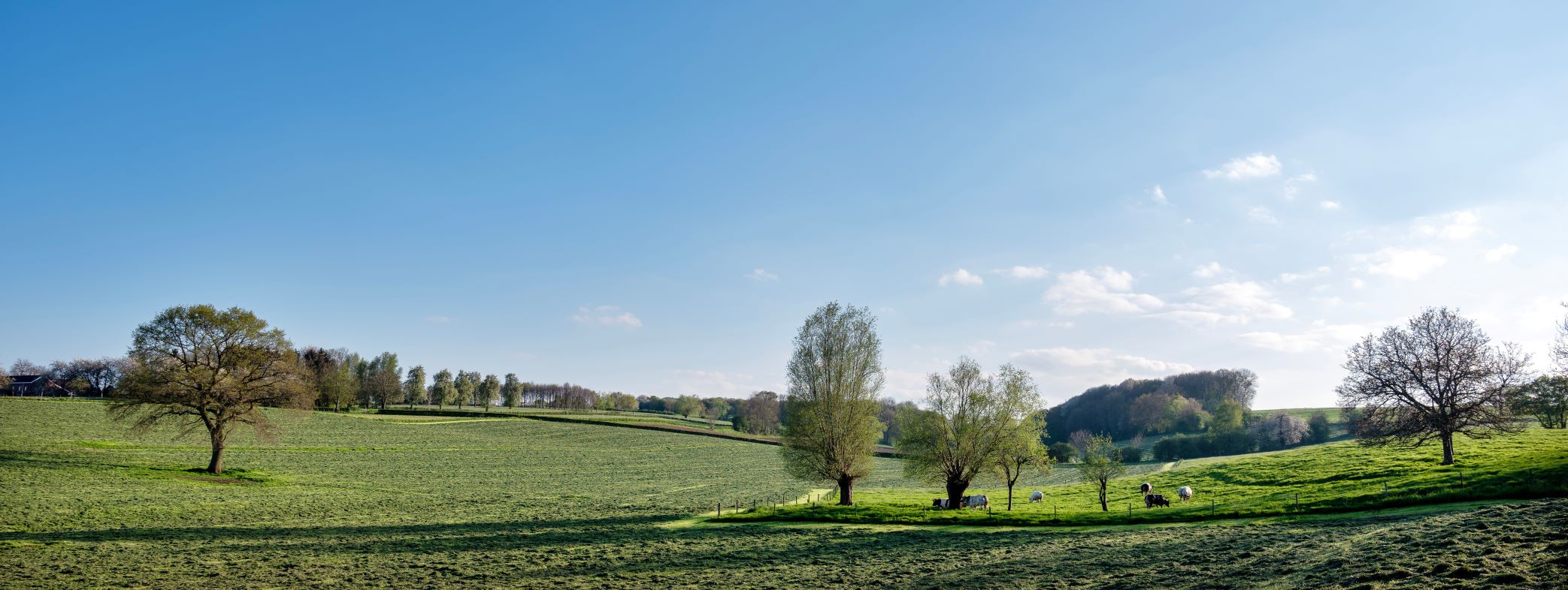 Fervente wandelaars kunnen vanaf nu terecht op een reusachtige wandelroute in Limburg die net is ingehuldigd!