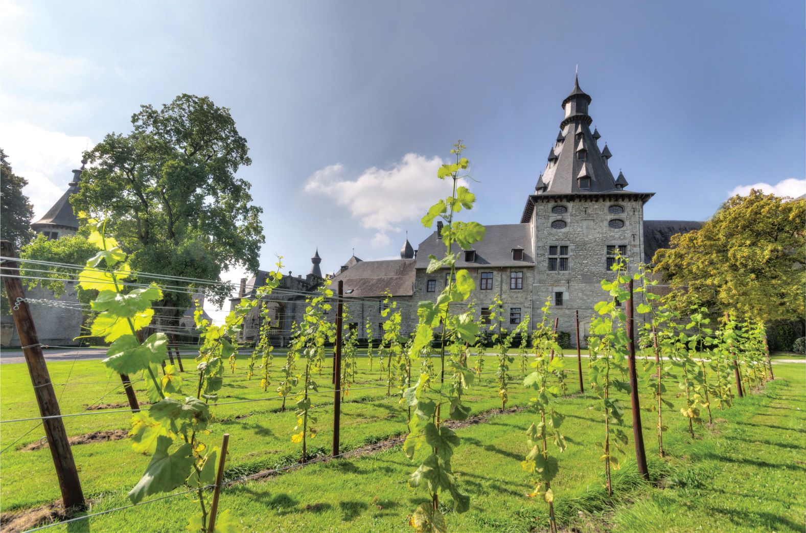 Julie : entre vignobles et châteaux en province de Namur !