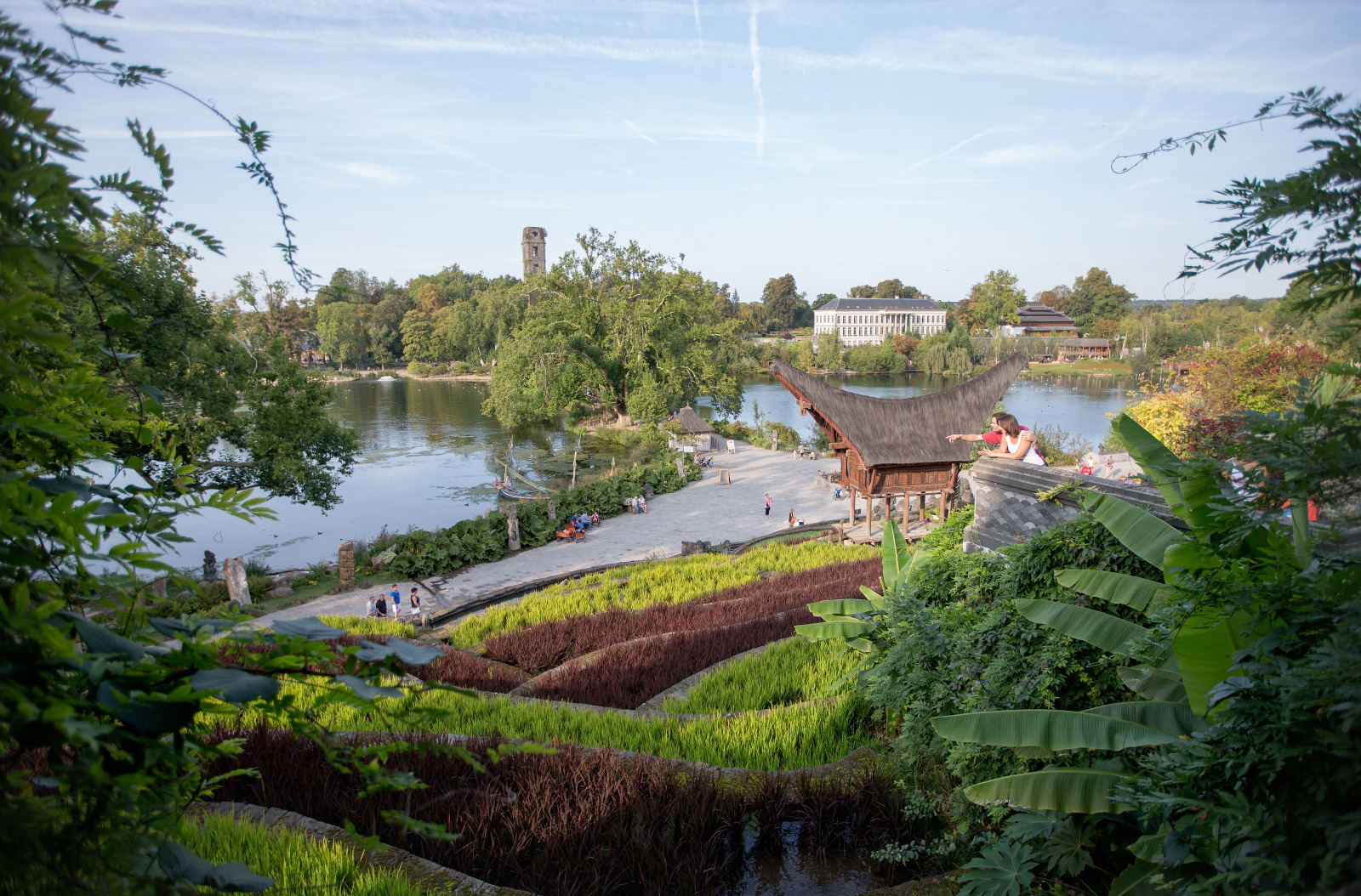Pairi Daiza reist terug in de tijd: XXL-dinosaurussen en een authentiek skelet voor 2025!