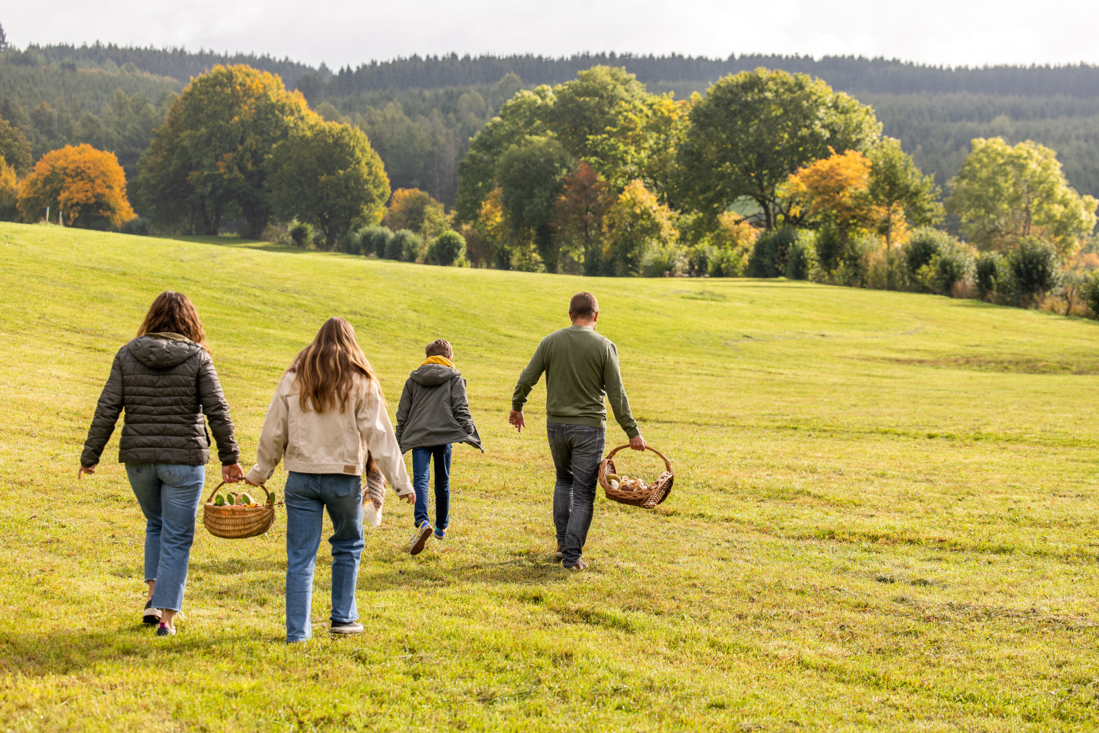 wallonia autumn