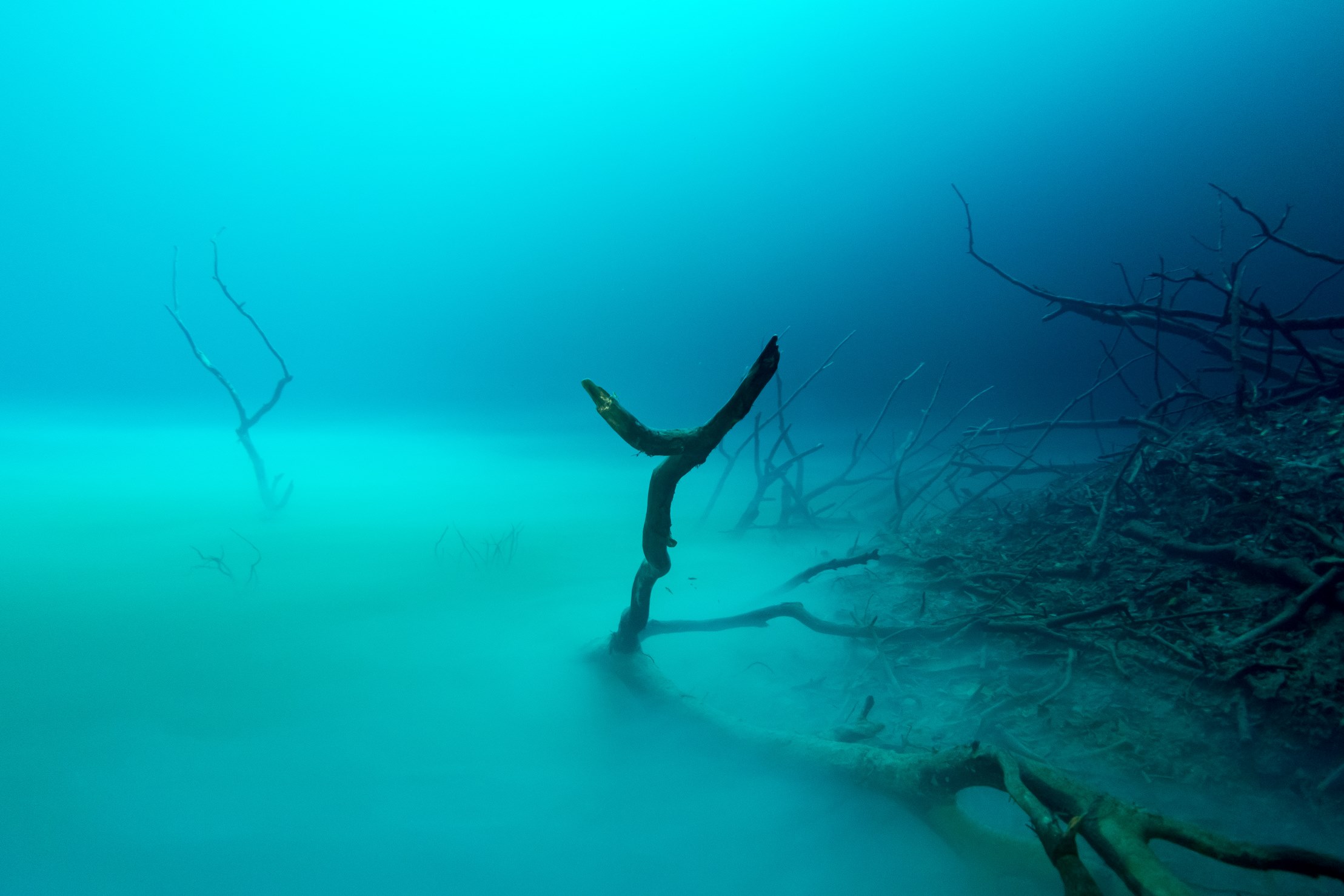 Cenote Angelita 