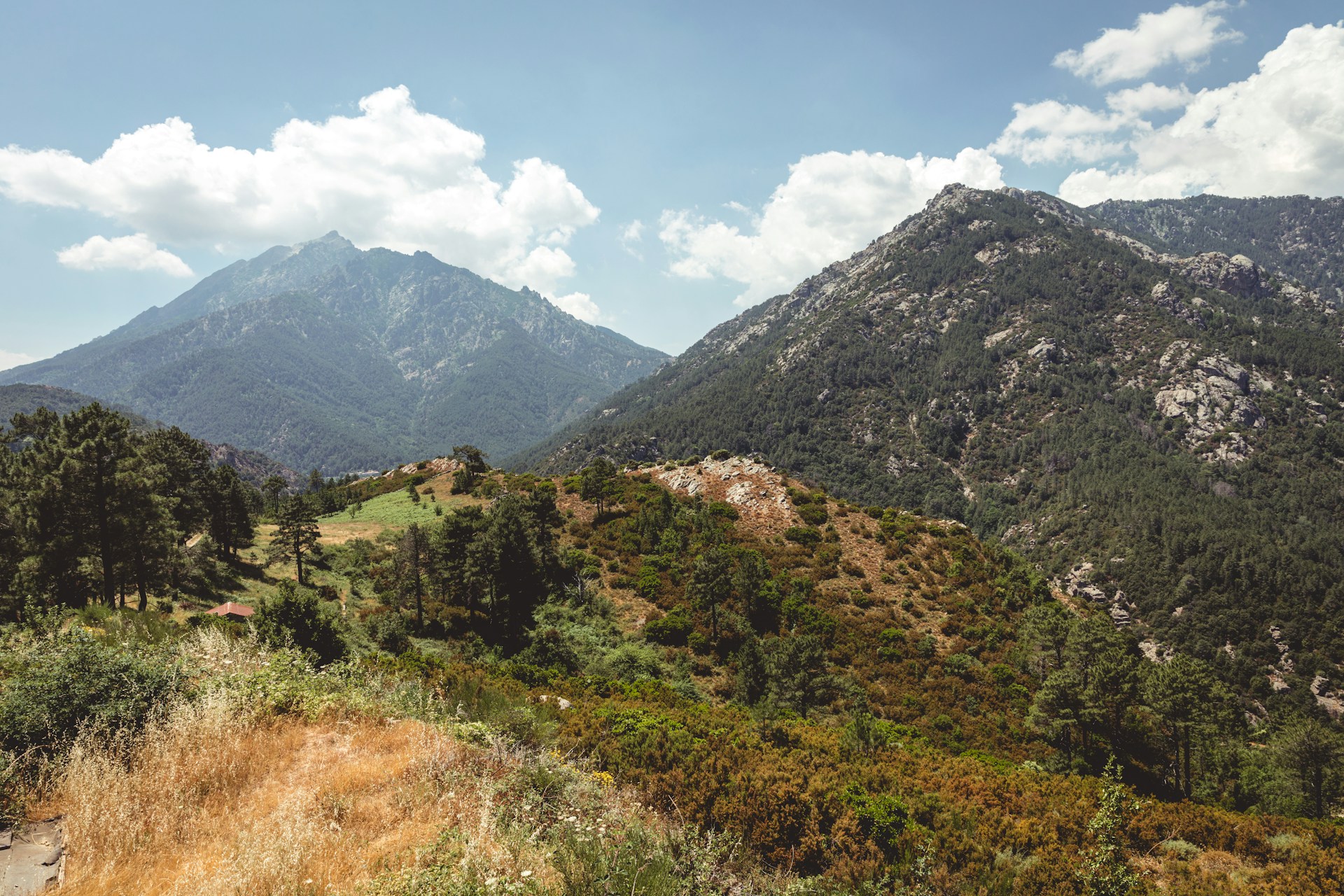 Corsica