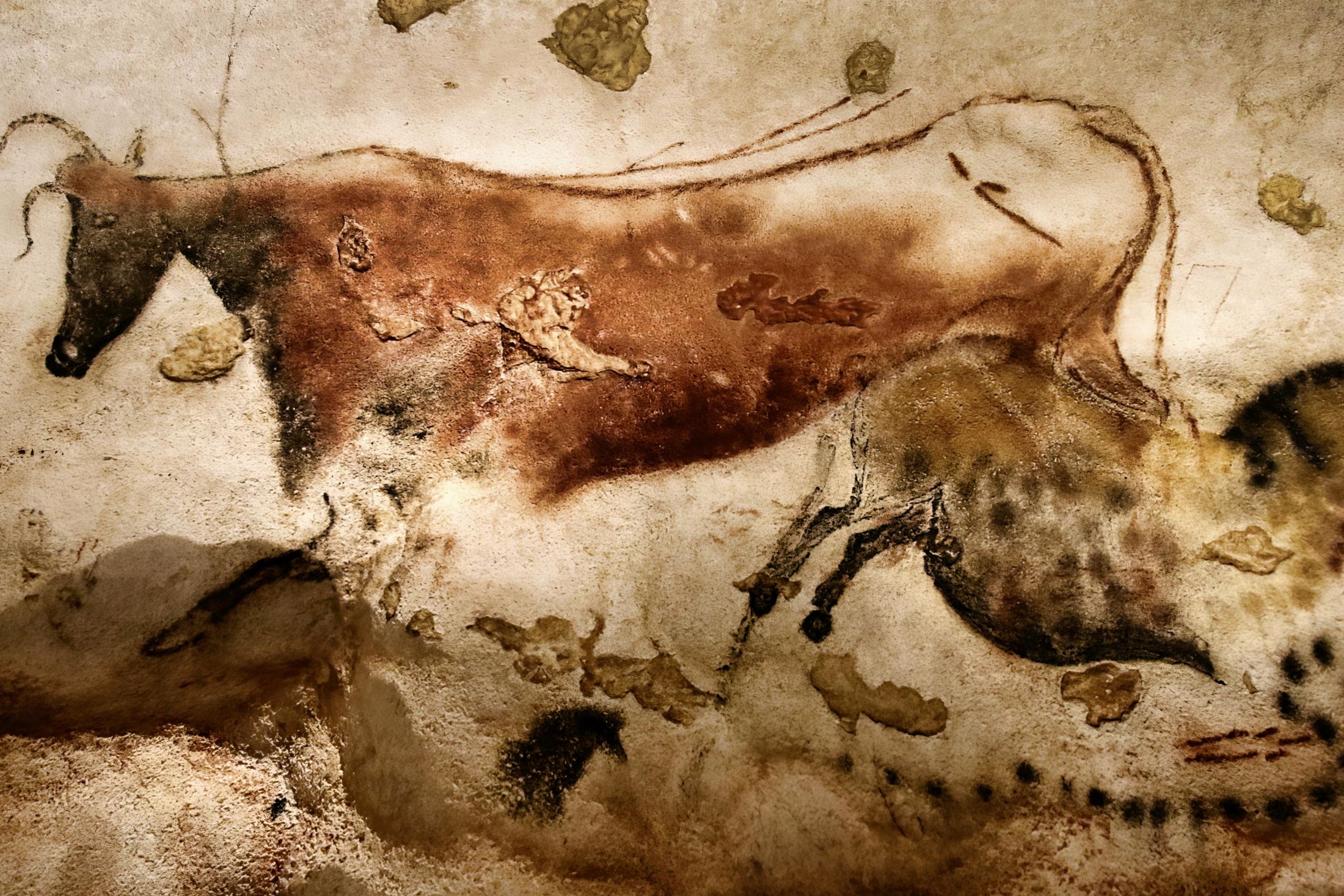 Een dag, een plek: De ontdekking van de grot van Lascaux, 12 september 1940