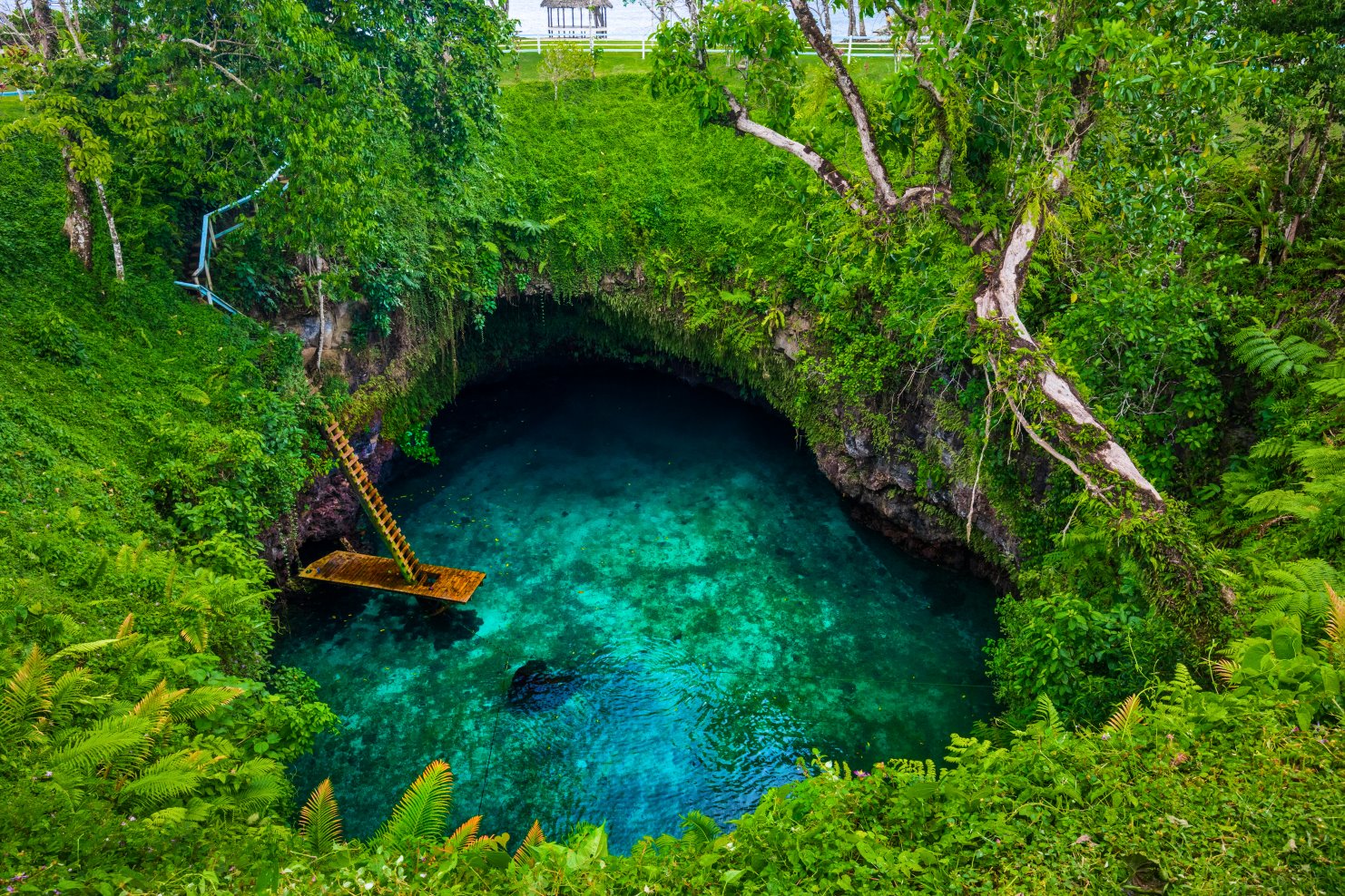 Top 5 des plus belles piscines naturelles !