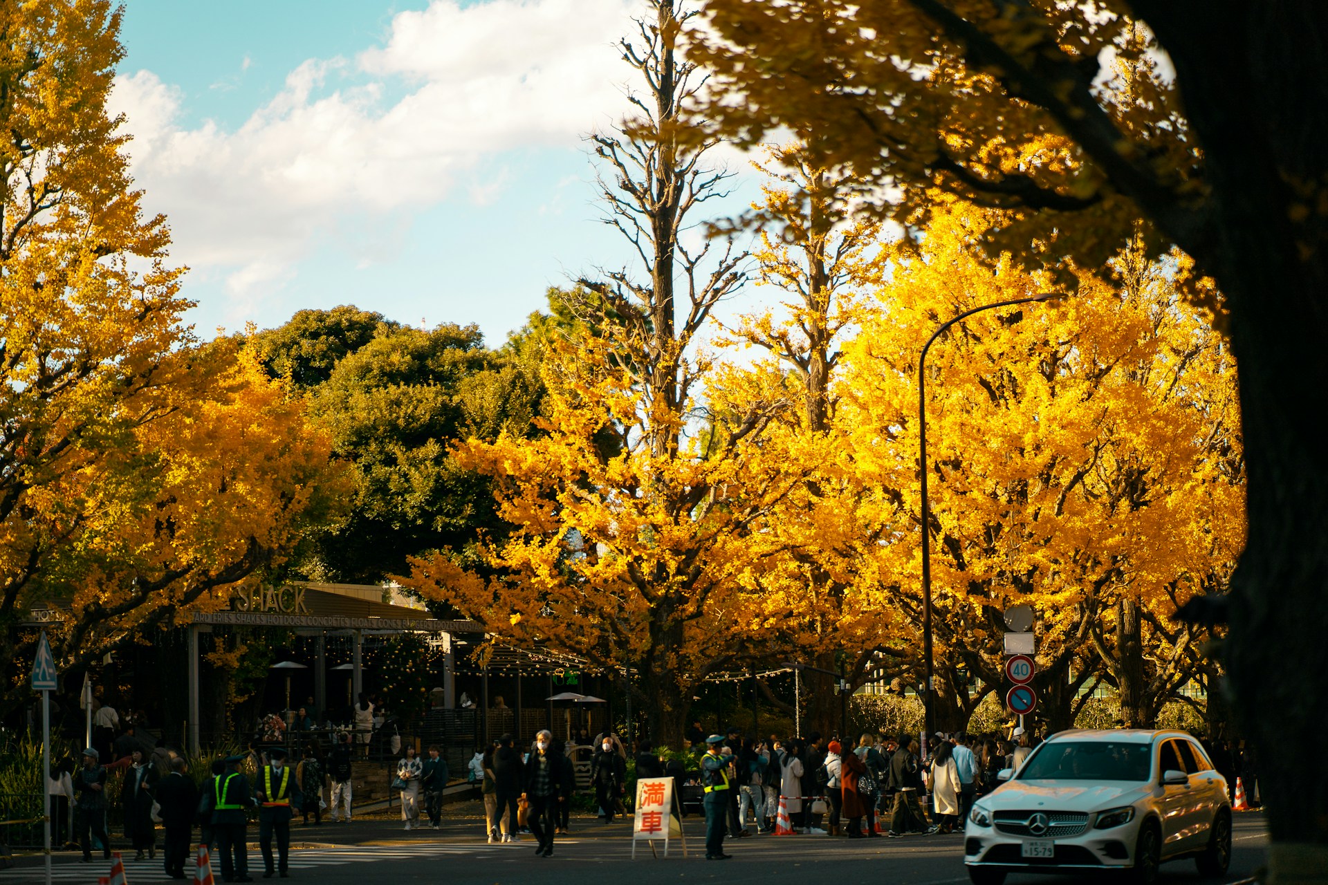 Autumn Japan