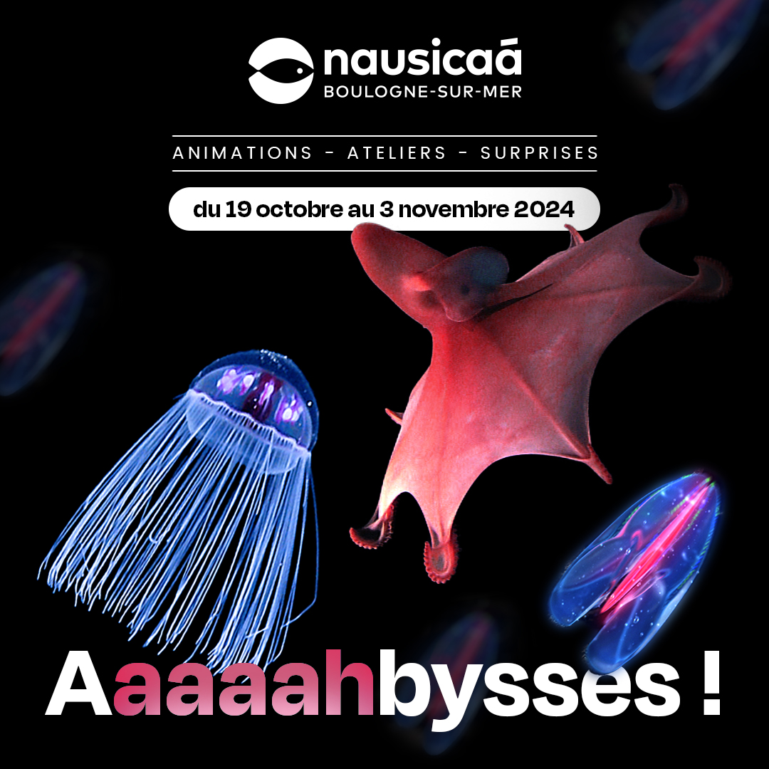NAUSICAA