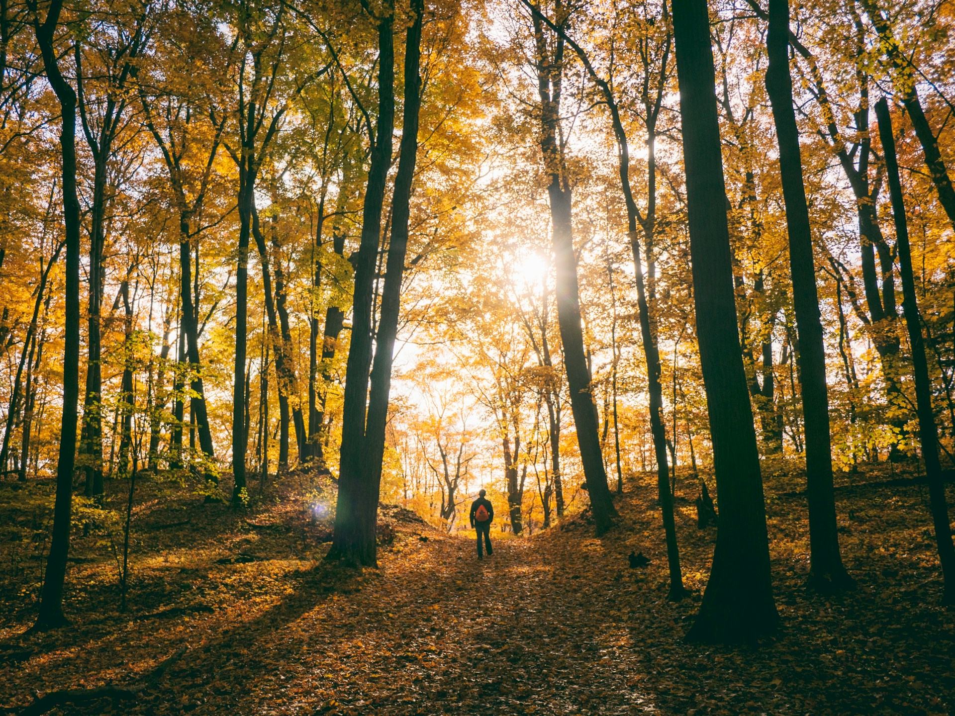 hiking