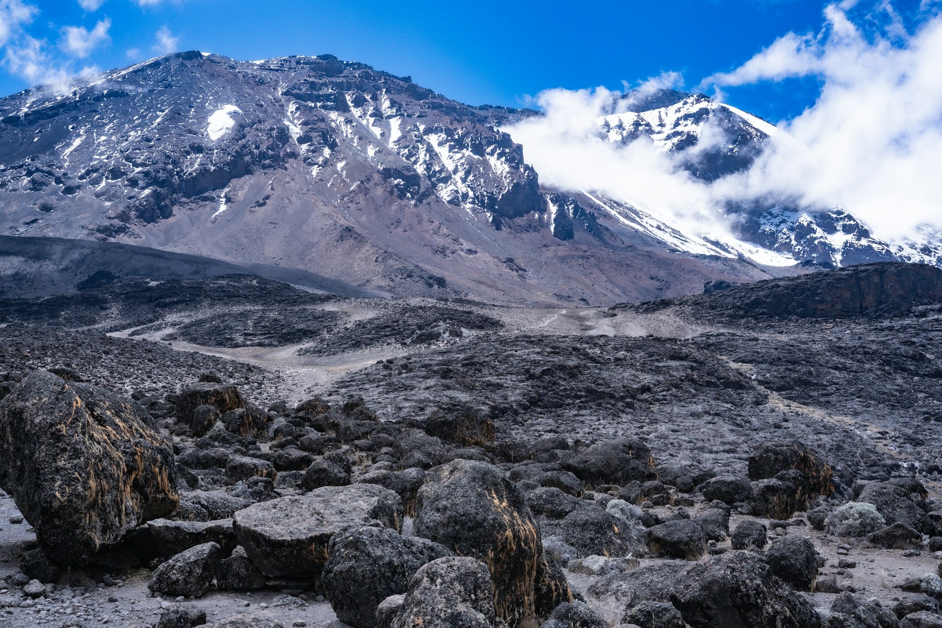 Kilimanjaro