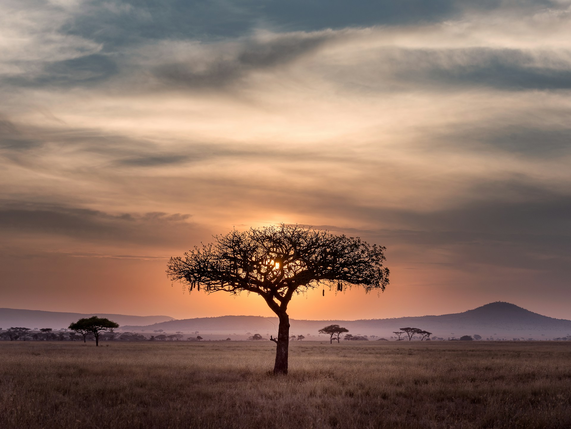 Tanzanie : 5 faits vraiment insolites !