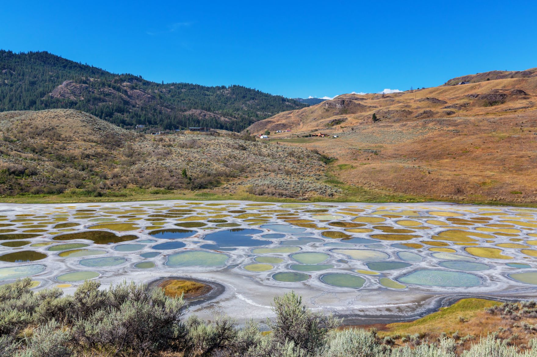 Spotted Lake : le lac tacheté du Canada que la nature a décoré comme une toile !