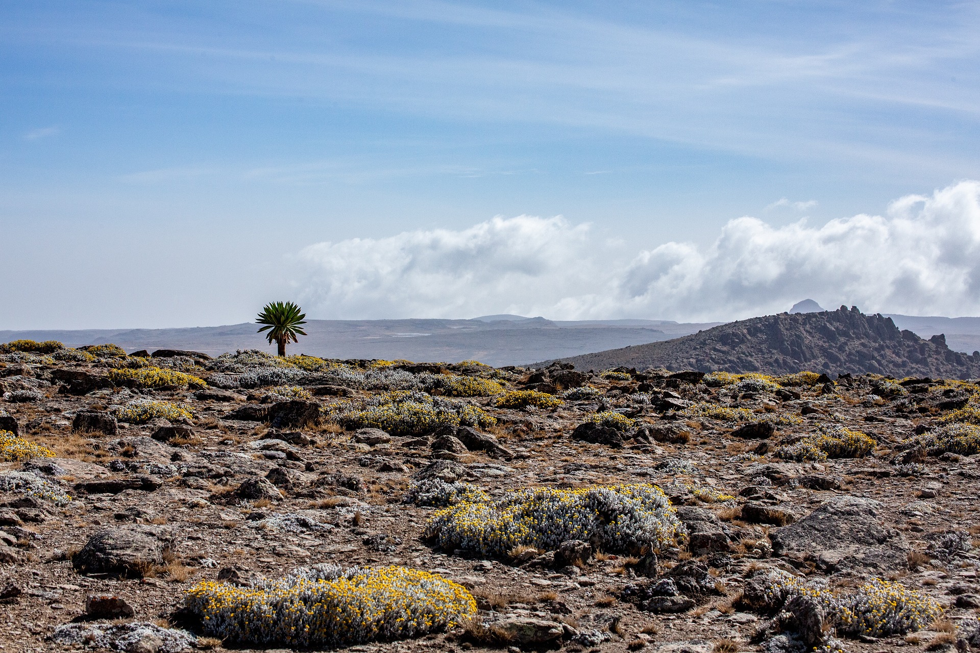 ethiopia