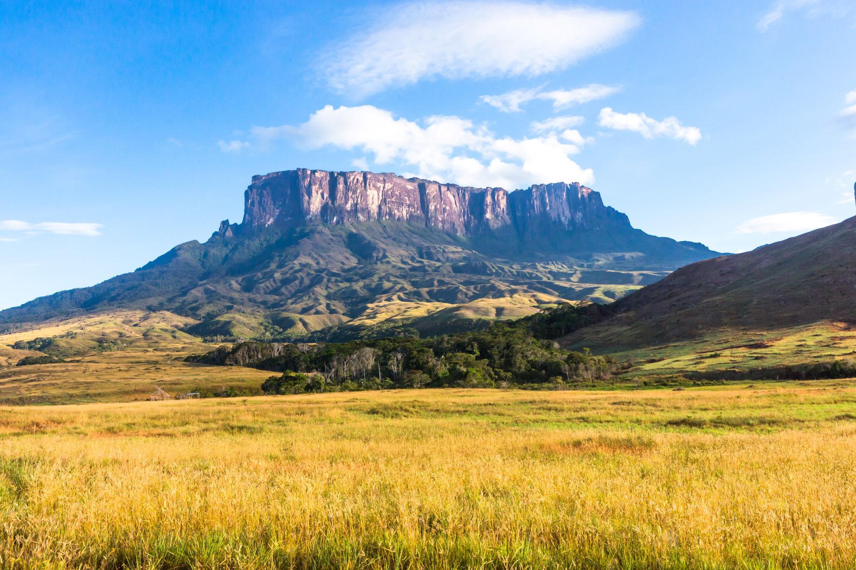 Mont Roraima