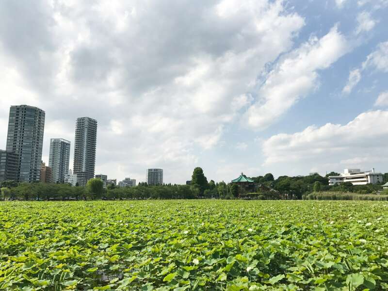 Tokyo