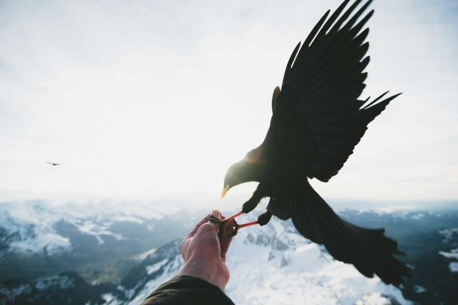 alps