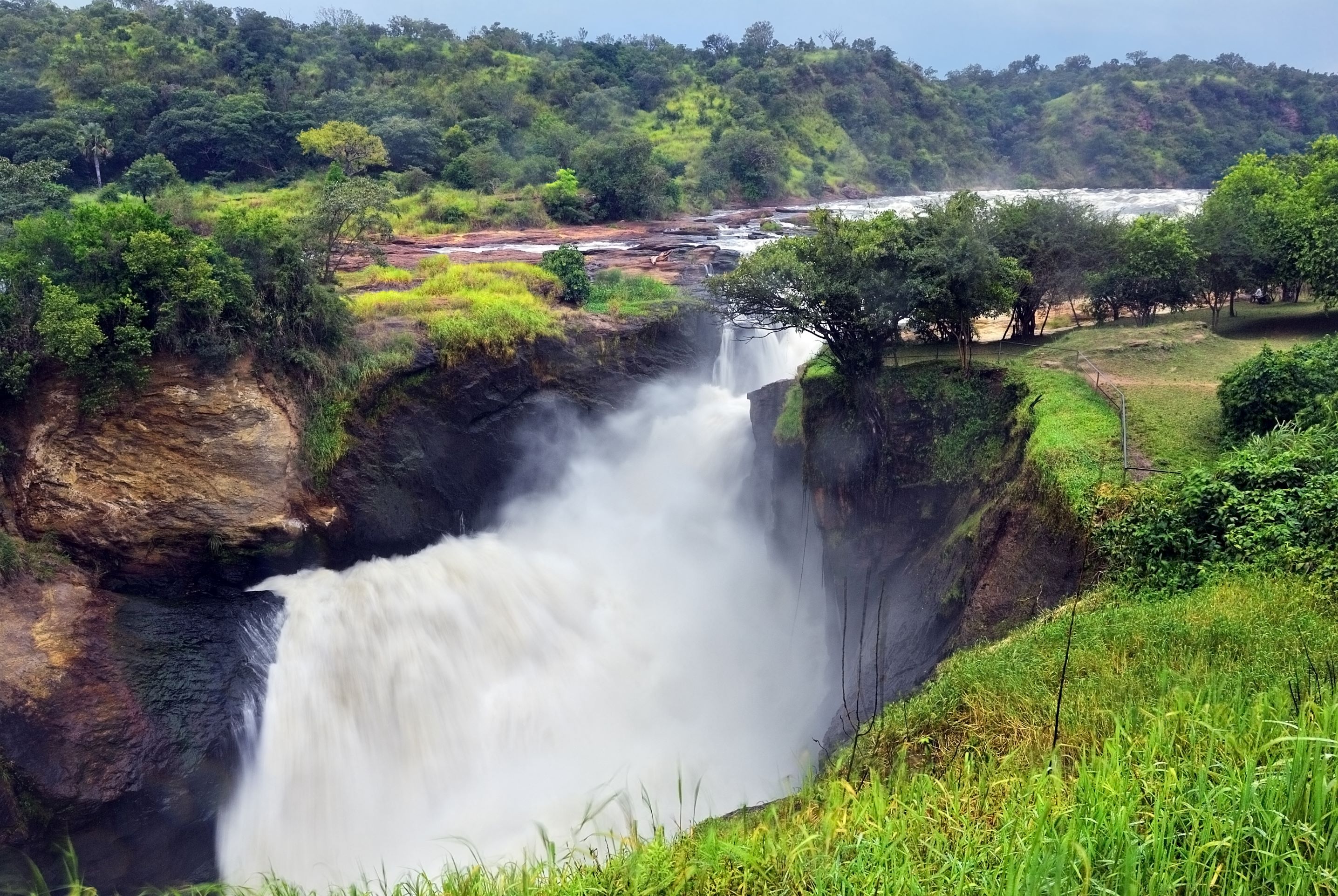 L’Ouganda, entre aventure, expérience et rencontres.