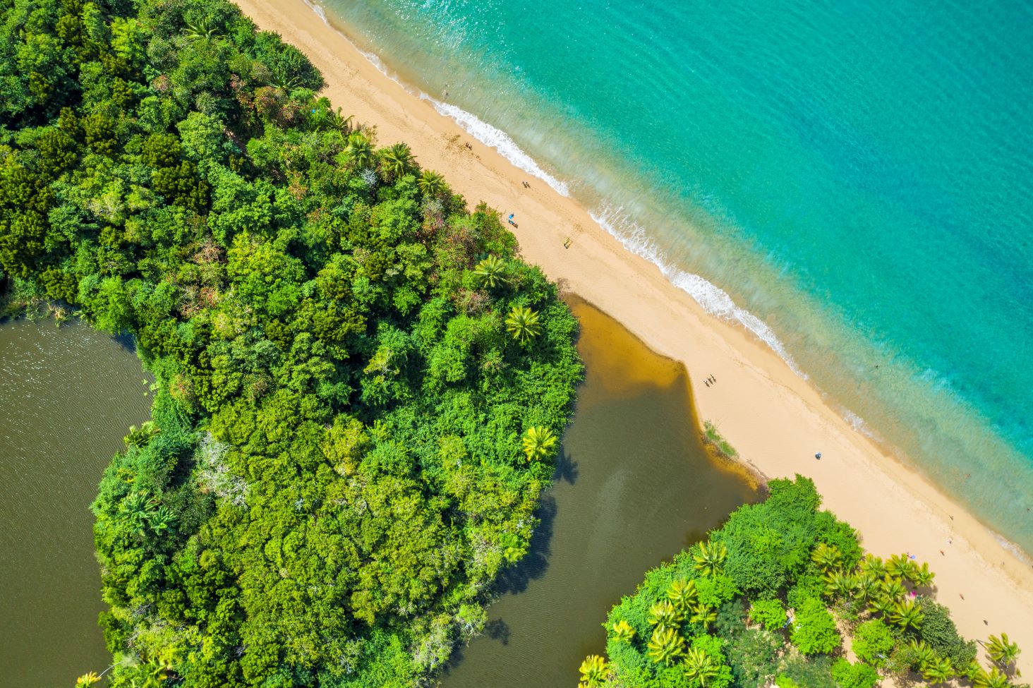 guadeloupe