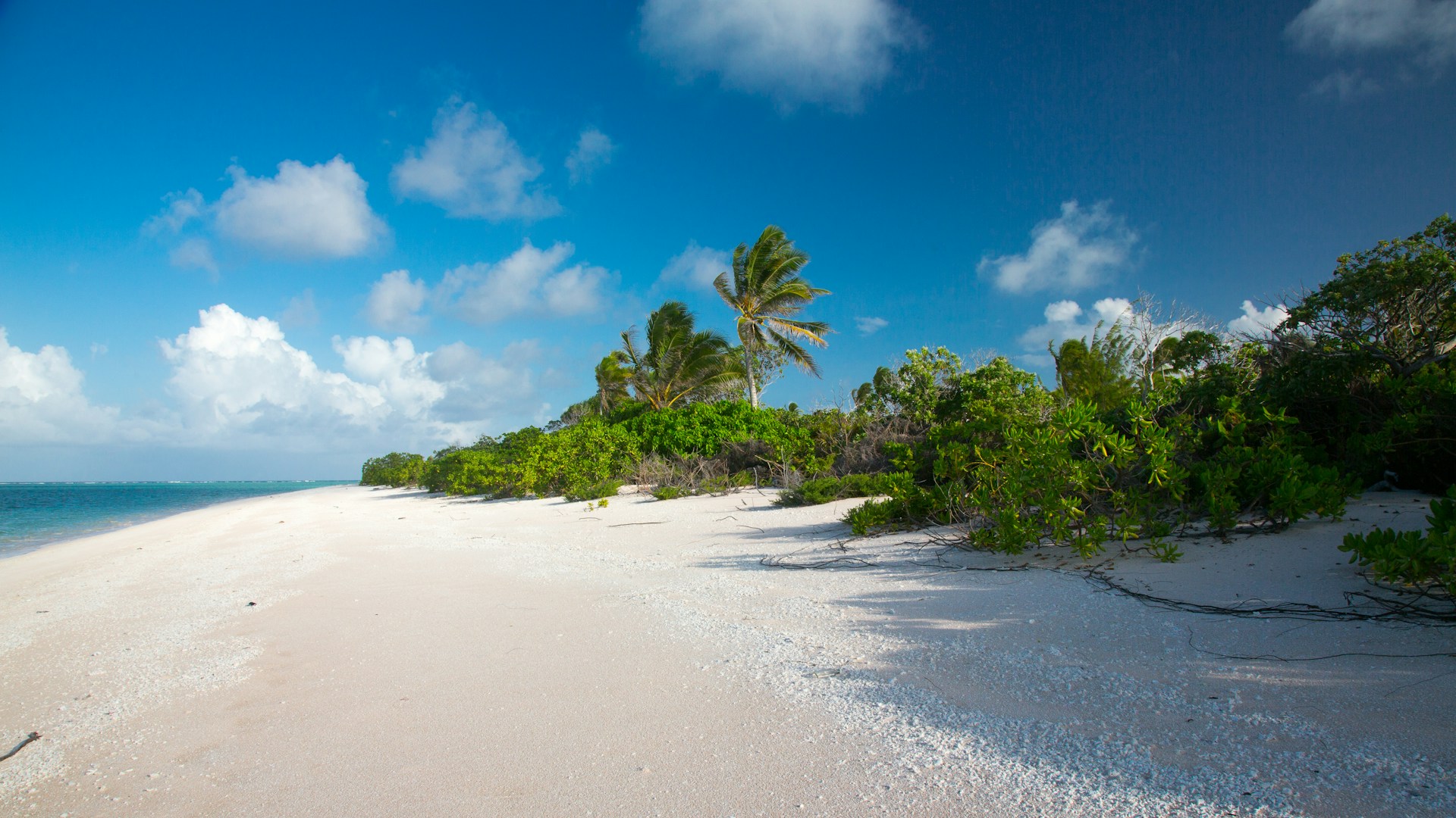 bikini atoll