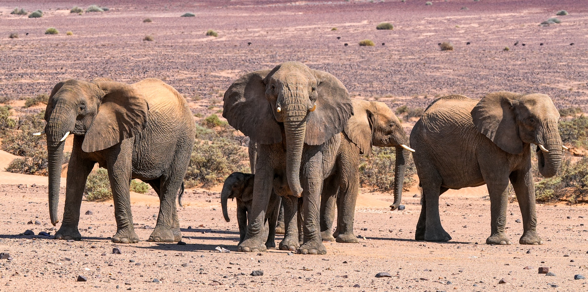 namibia