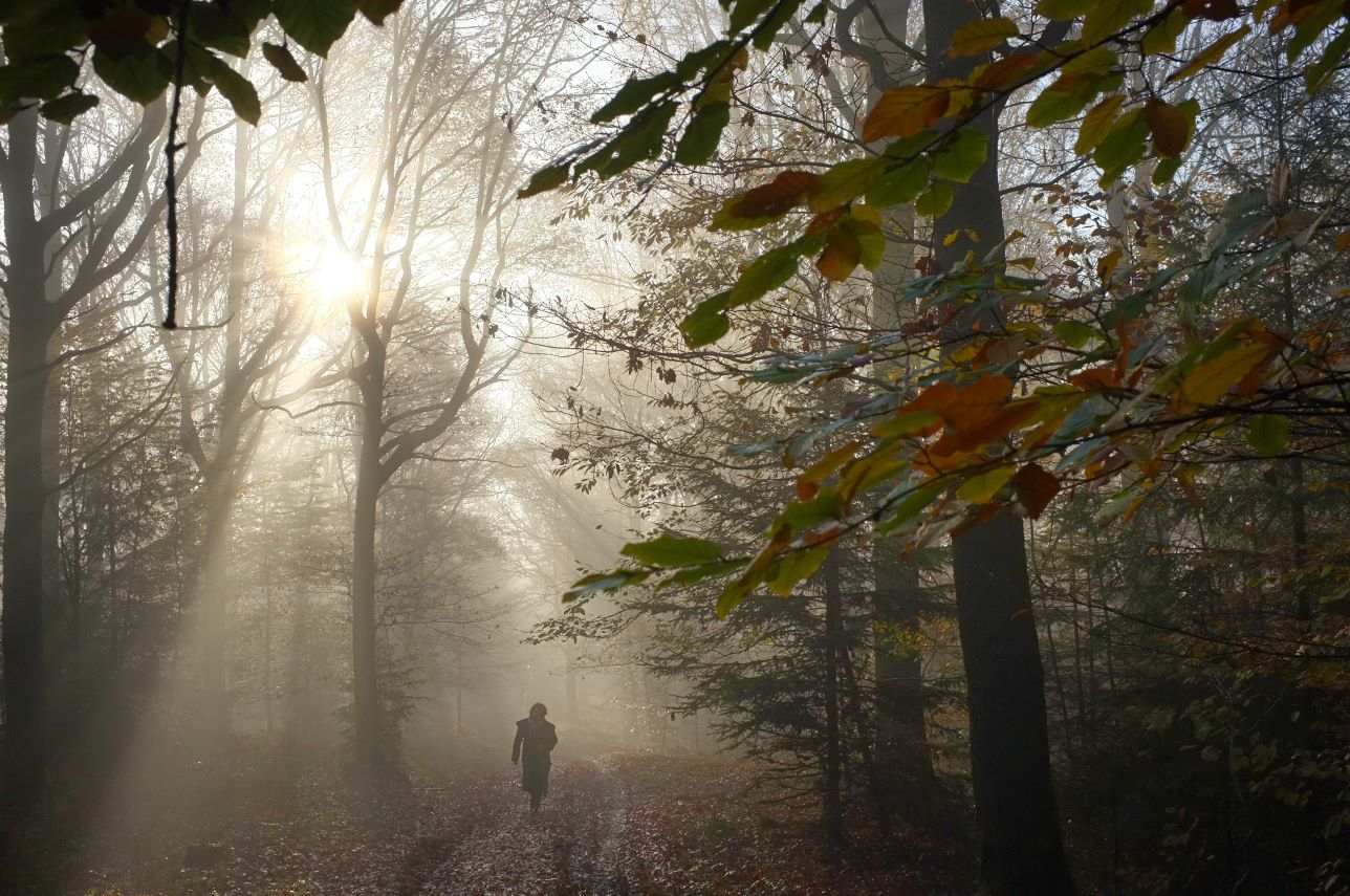 Julie’s top 5 van Waalse wandelingen