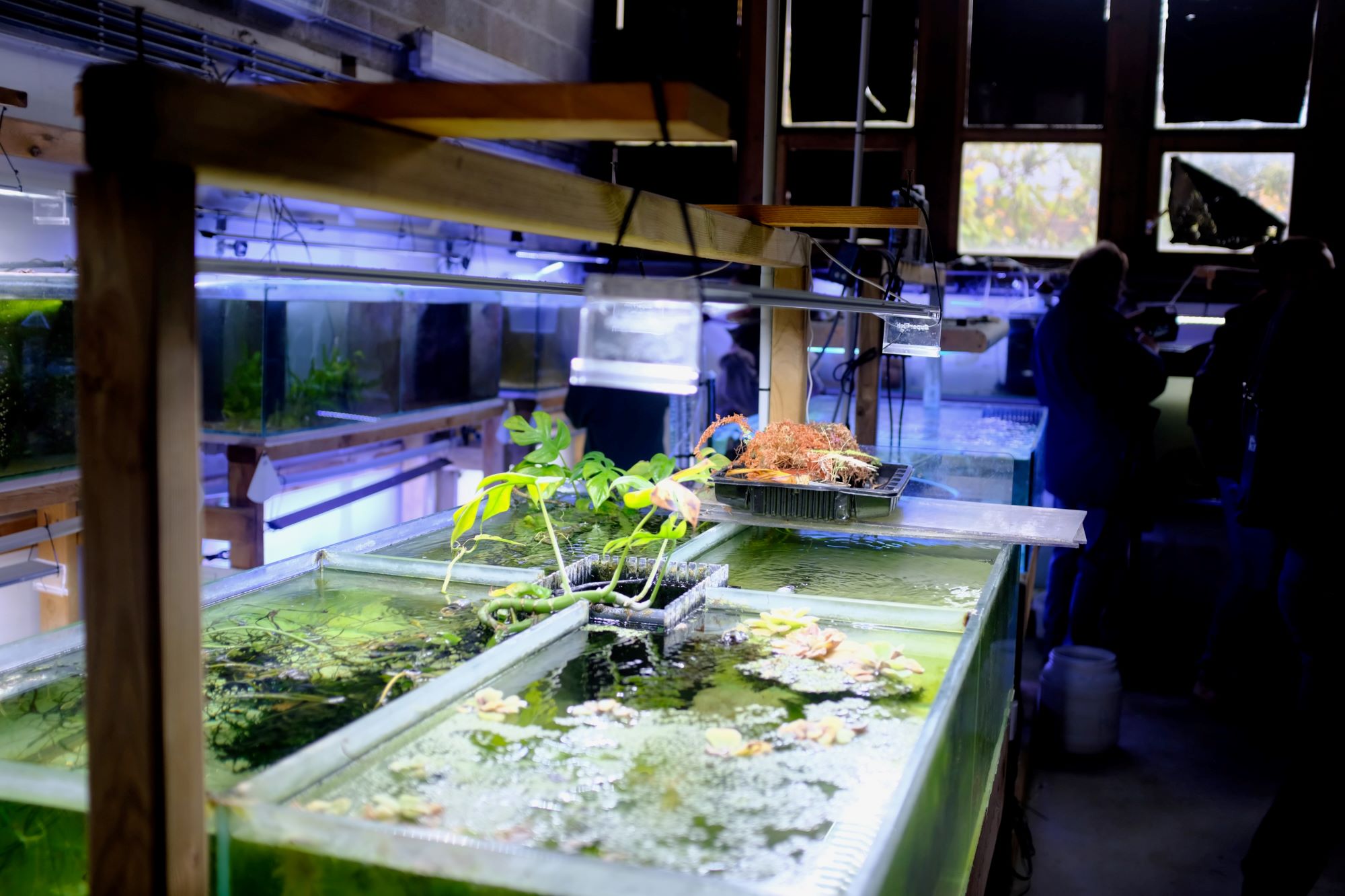 Dompel je onder in de biodiversiteit van de onderwaterwereld in het Aquarium-Museum van de Universiteit van Luik!