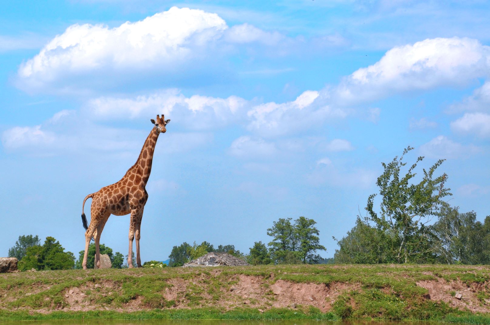Monde Sauvage Safari Parc
