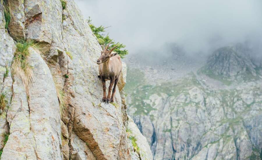nice trekking