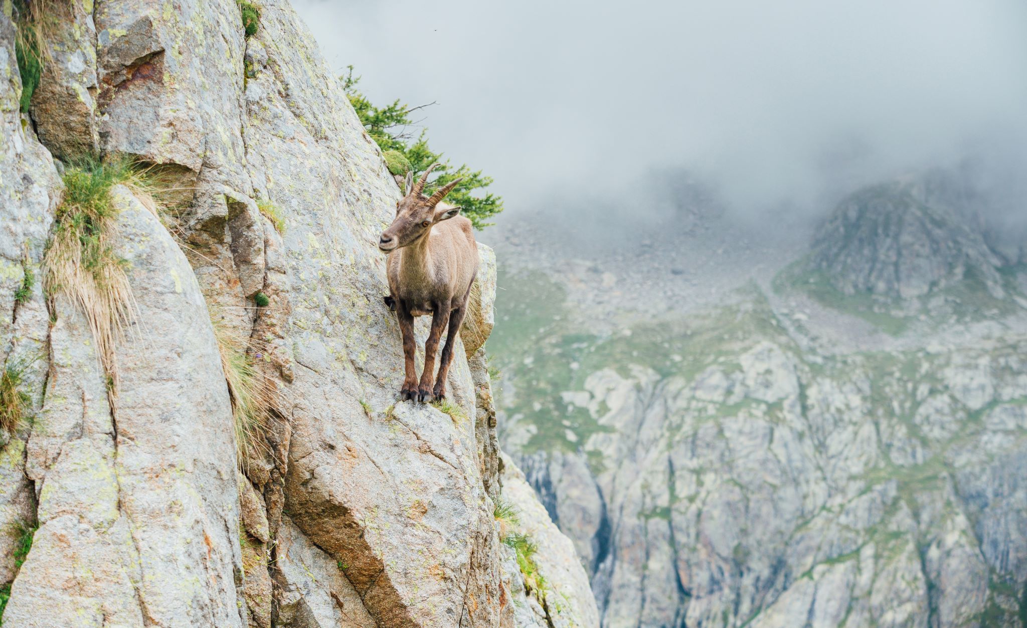 nice trekking
