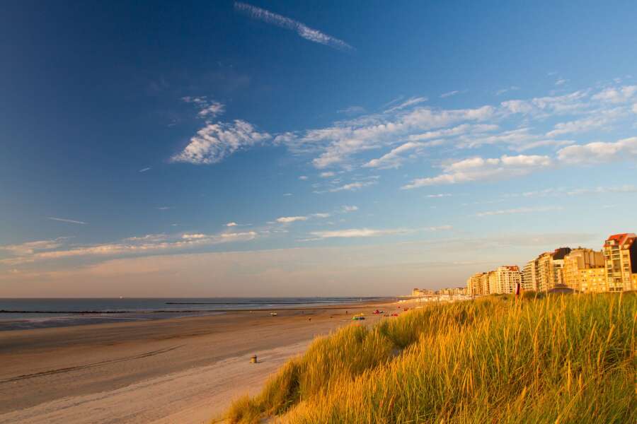 knokke