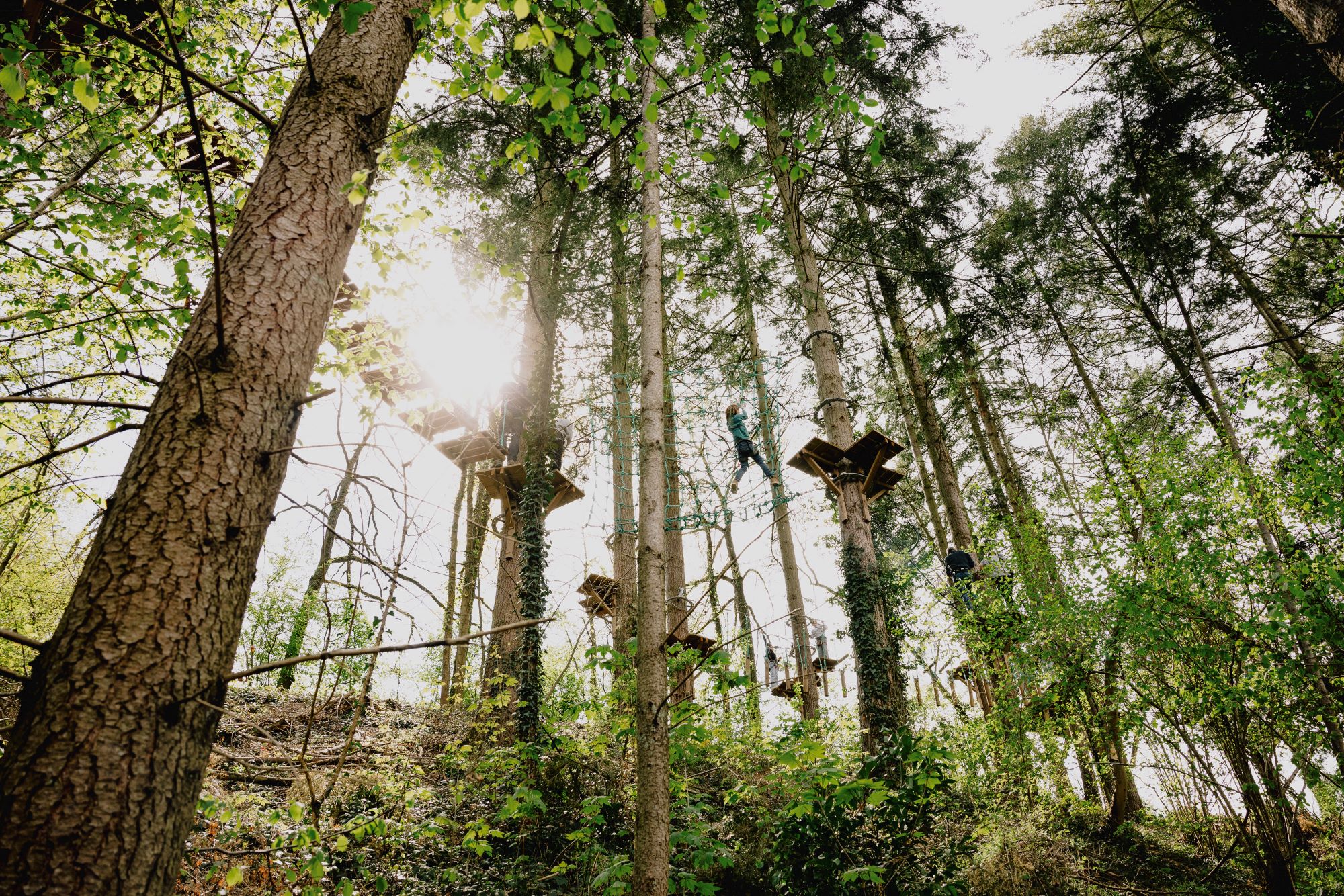 Tree Experience: kicken op het Domein van de Grotten van Han